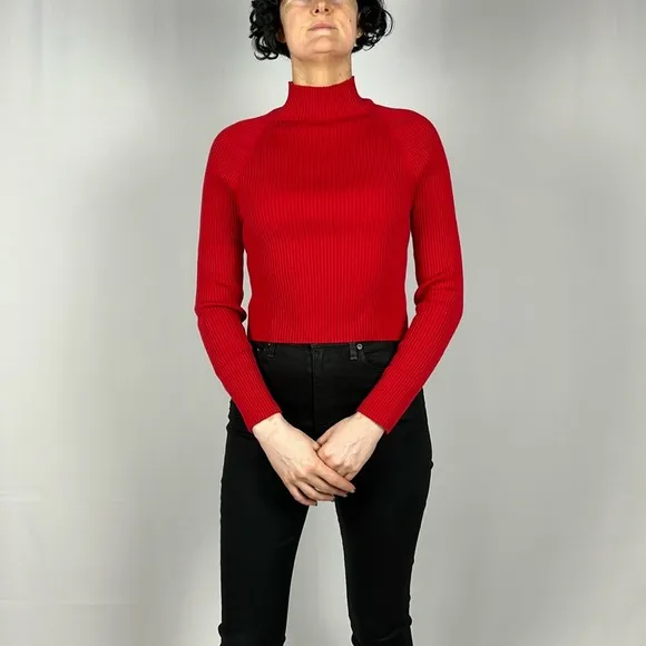 Alice &amp; Olivia Irena Turtleneck Sweater size L