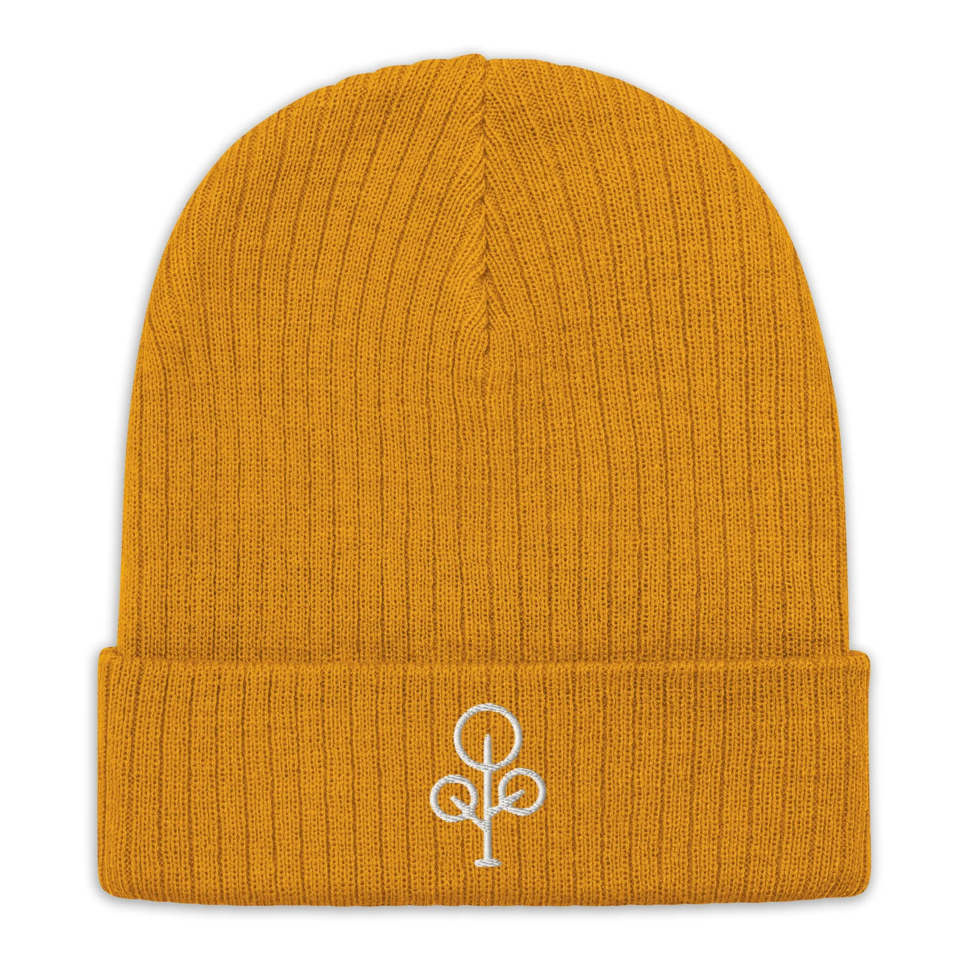 BHawse Ties Ribbed Beanie