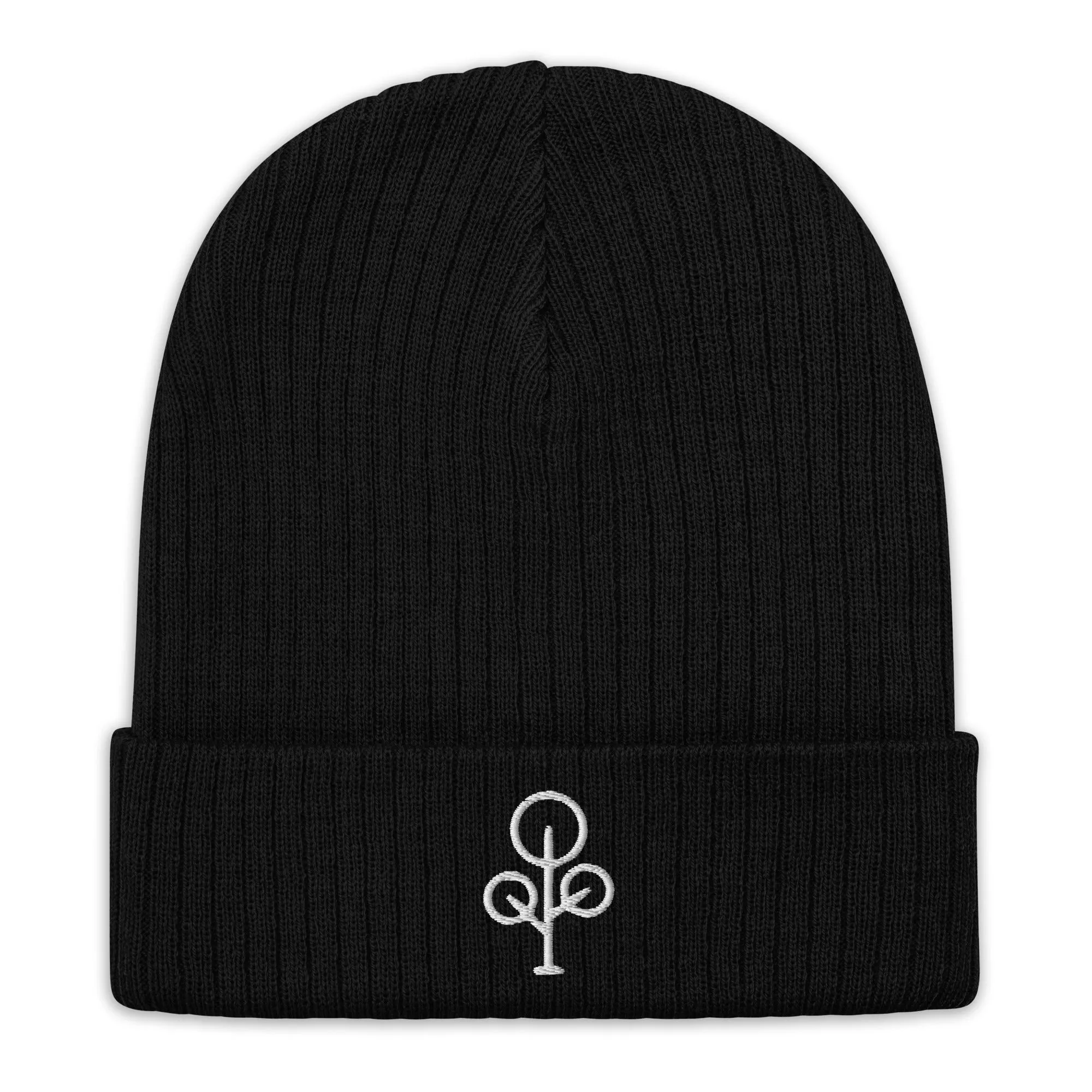 BHawse Ties Ribbed Beanie