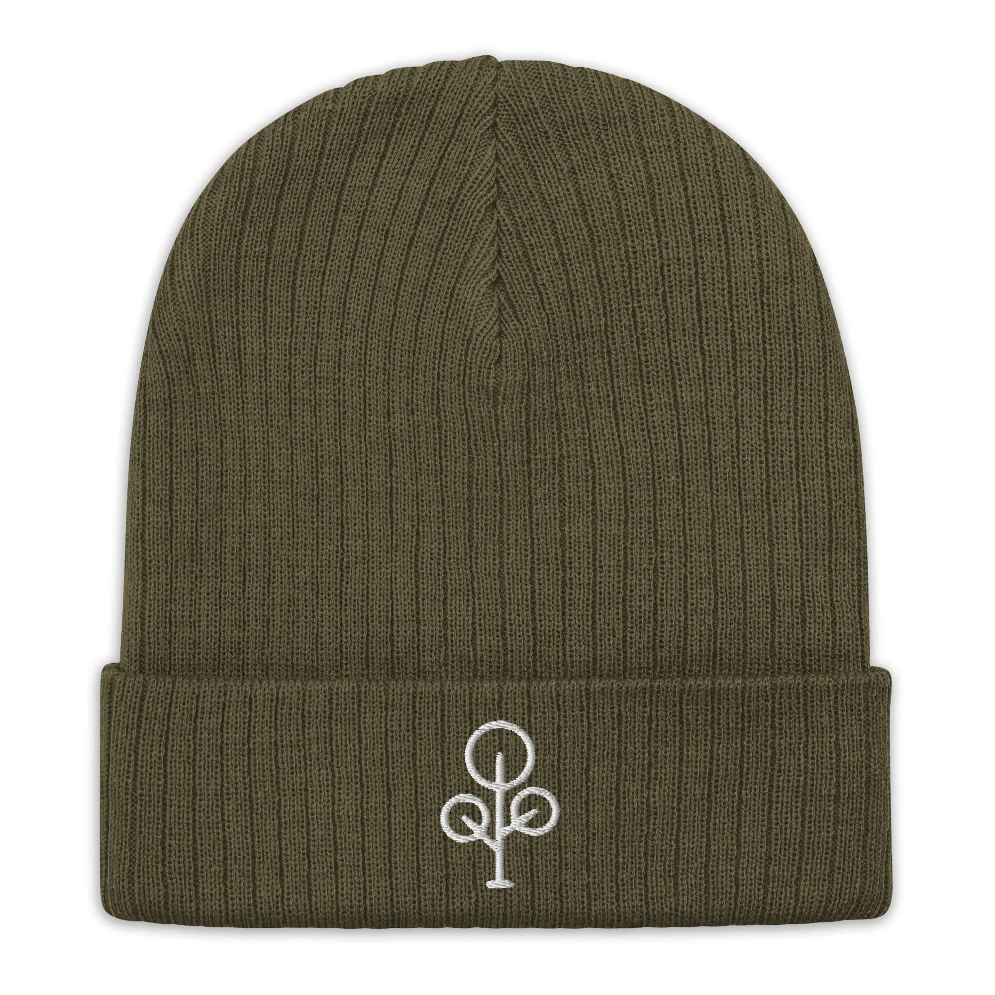 BHawse Ties Ribbed Beanie