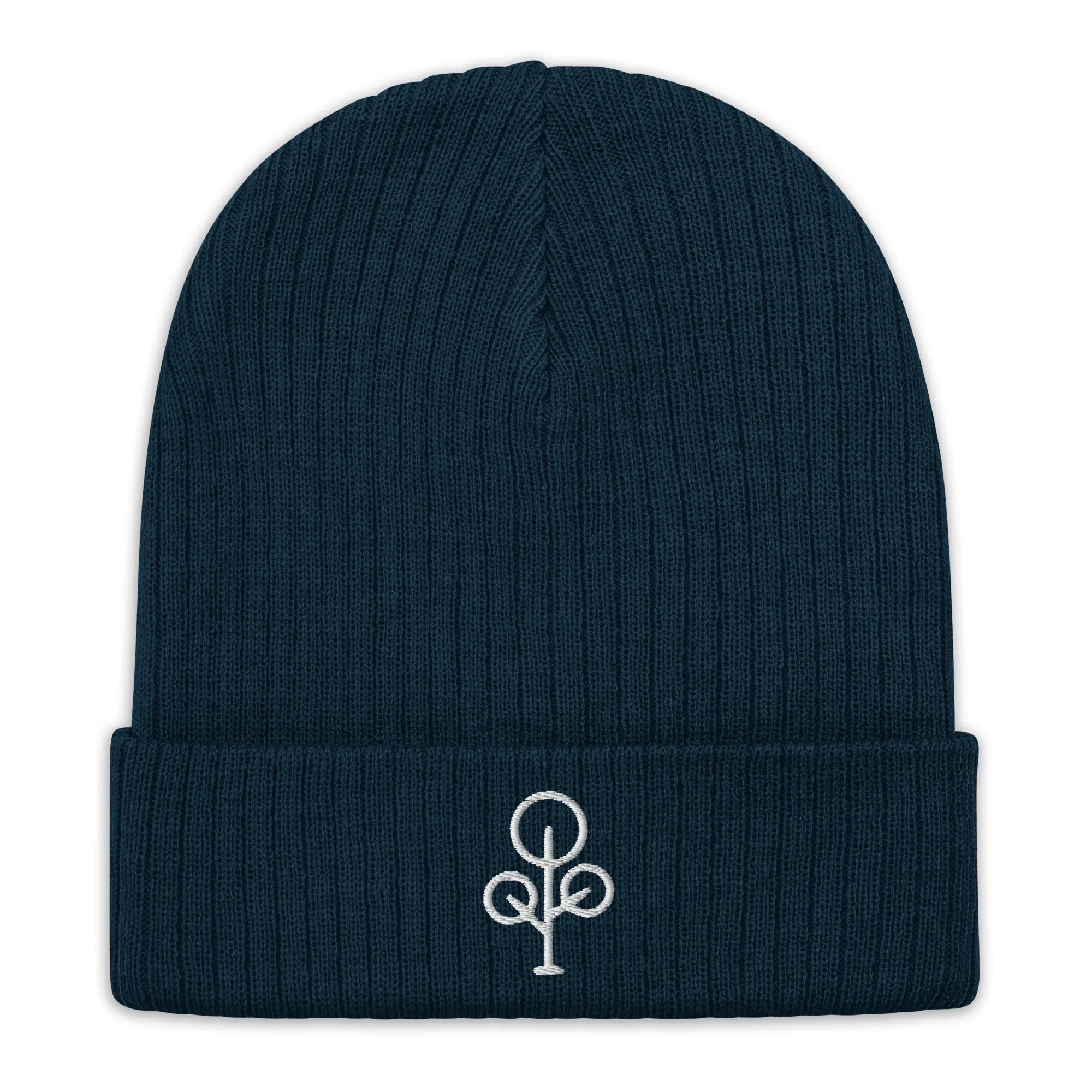 BHawse Ties Ribbed Beanie