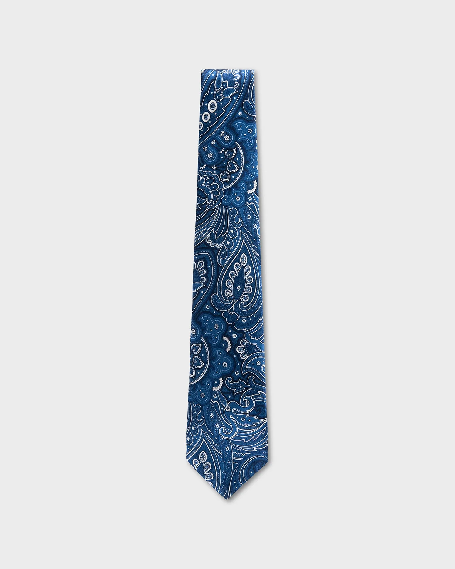 Blue Paisley Tie