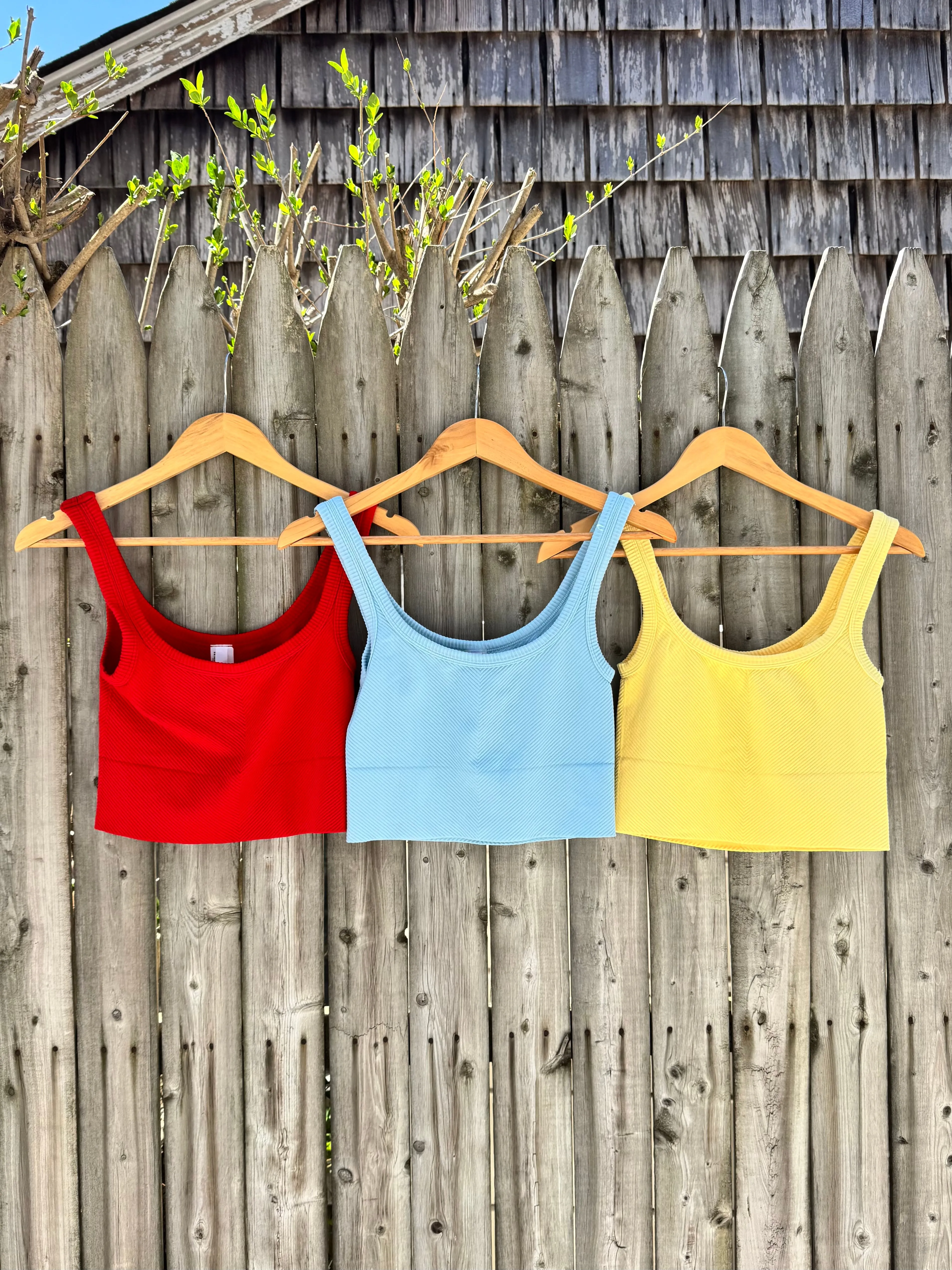 Chevron Ribbed Crop- Pale Lemon