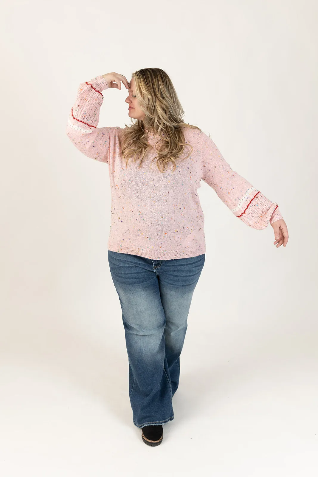 Dolly Long Sleeve Confetti Sweater Curvy