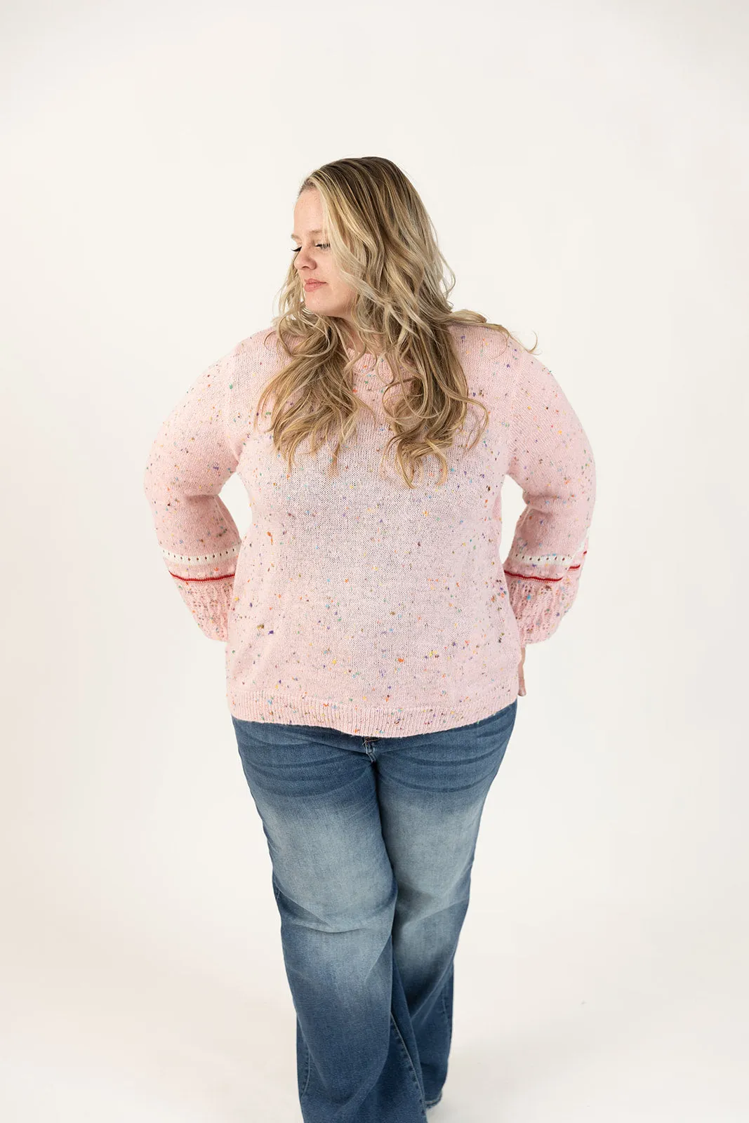 Dolly Long Sleeve Confetti Sweater Curvy