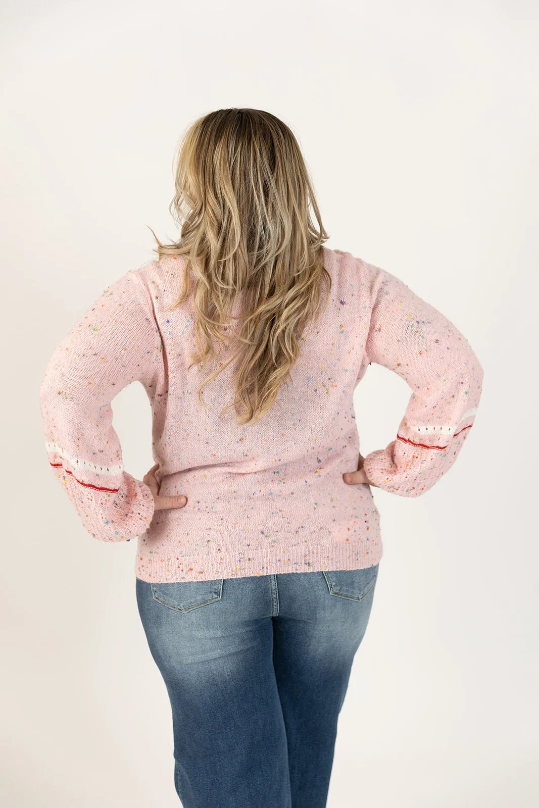 Dolly Long Sleeve Confetti Sweater Curvy