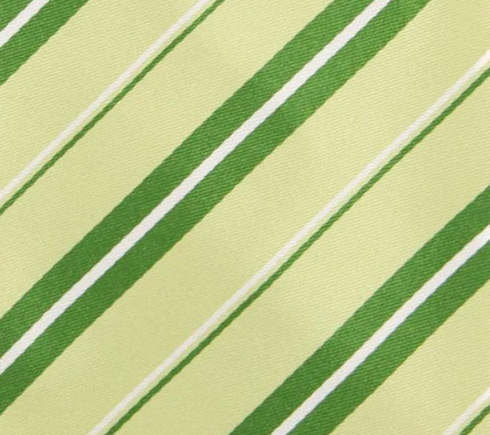Finamore Napoli Green Silk Tie