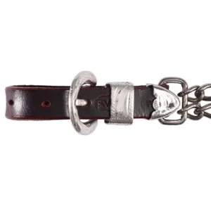 Fort Worth Double Curb Chain w/Silver Latigo