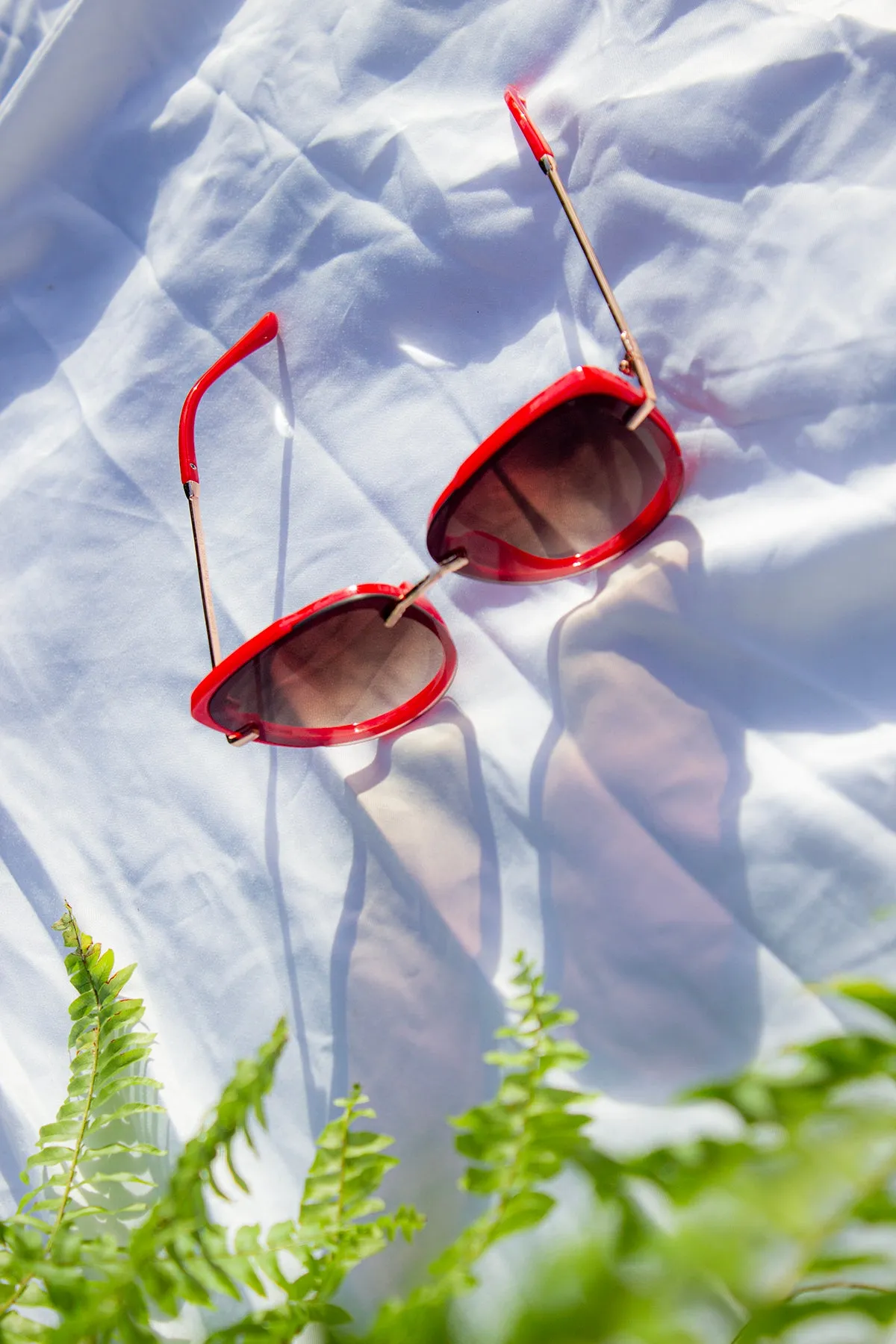Front Lens Oversized Sunglasses