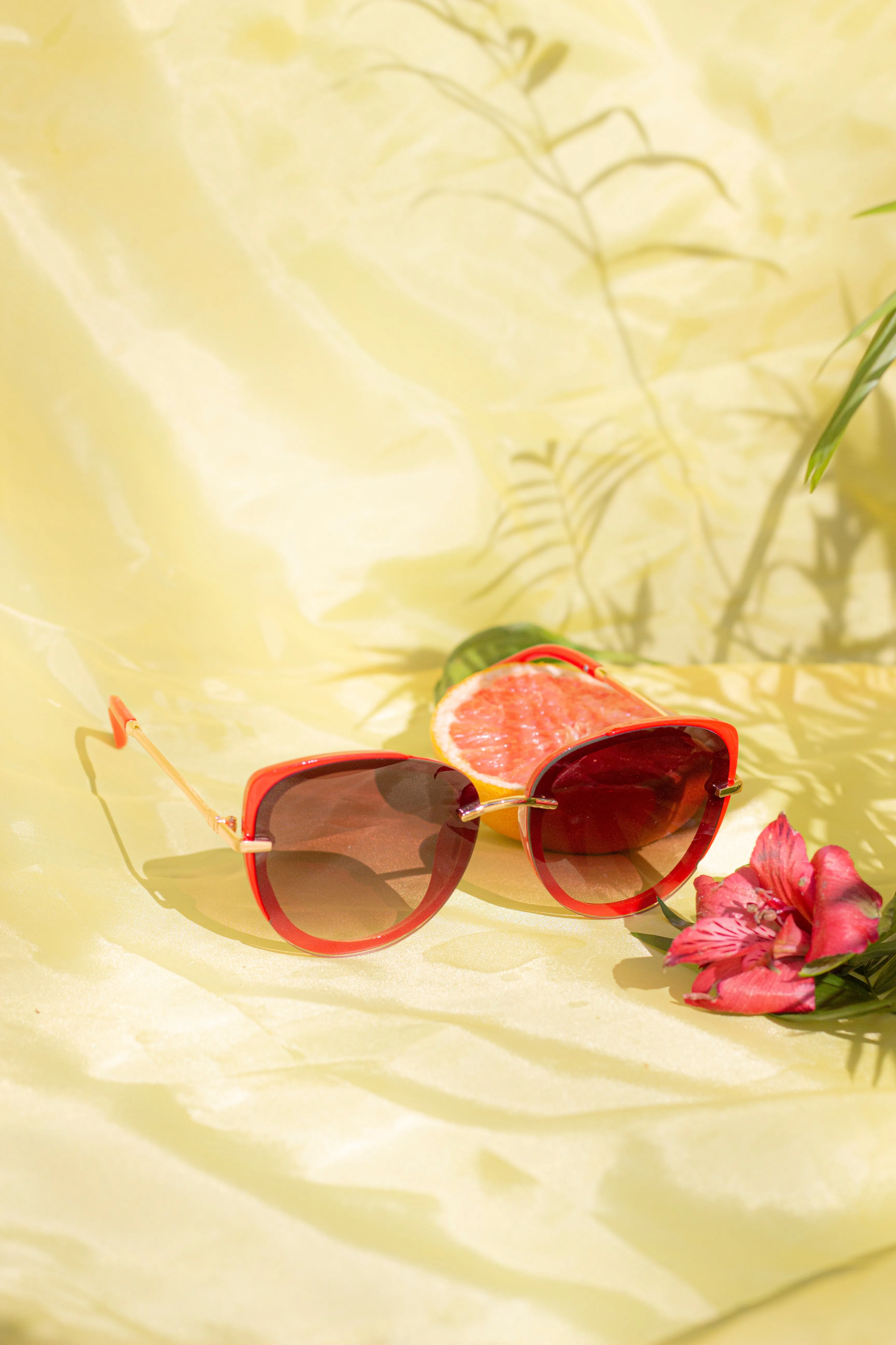 Front Lens Oversized Sunglasses