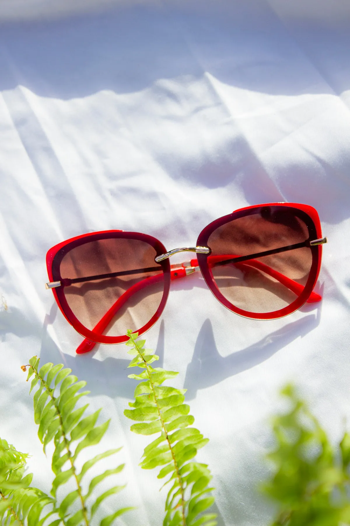 Front Lens Oversized Sunglasses
