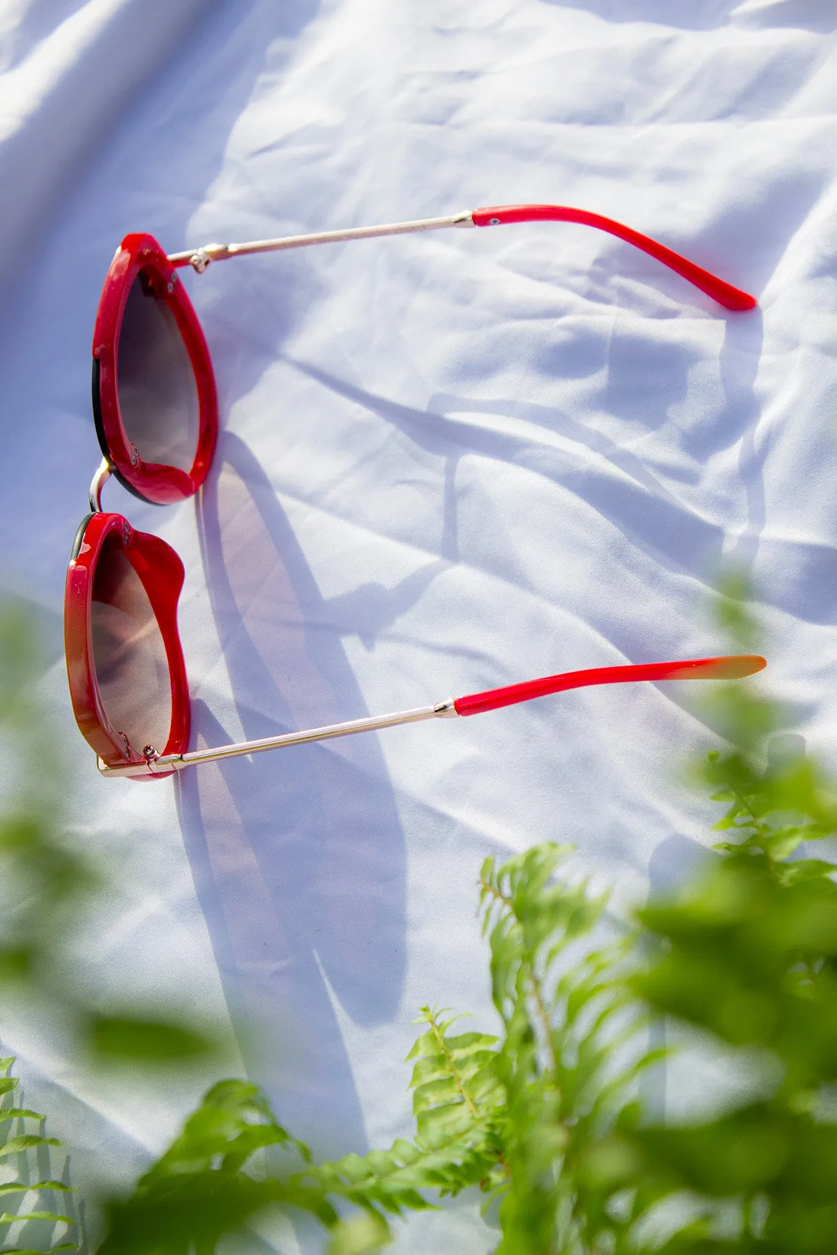 Front Lens Oversized Sunglasses