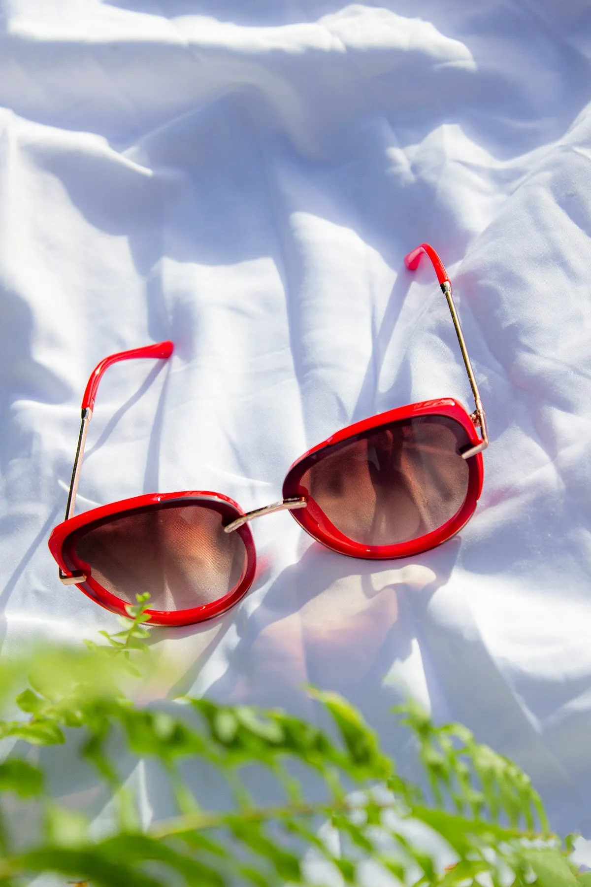 Front Lens Oversized Sunglasses