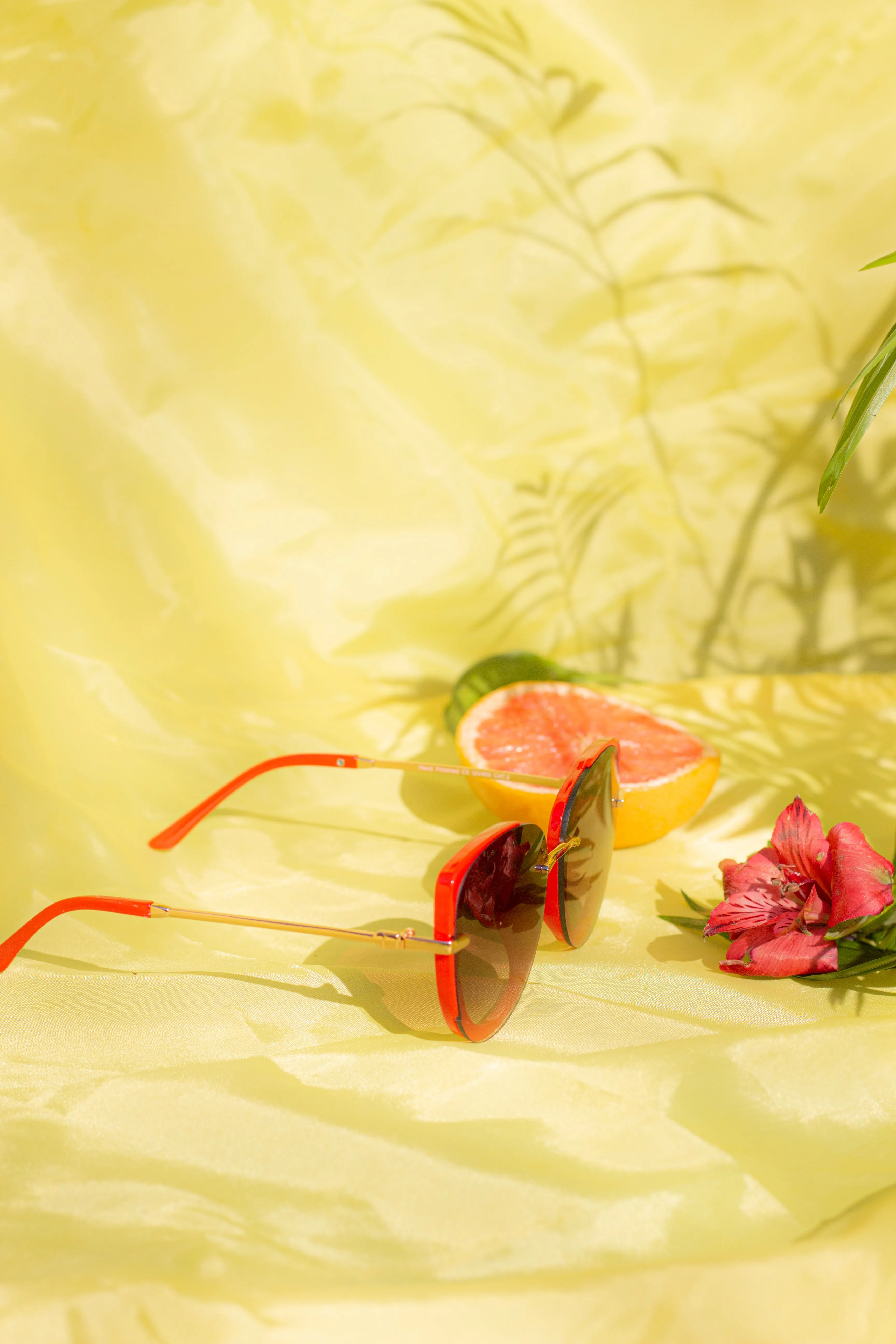 Front Lens Oversized Sunglasses