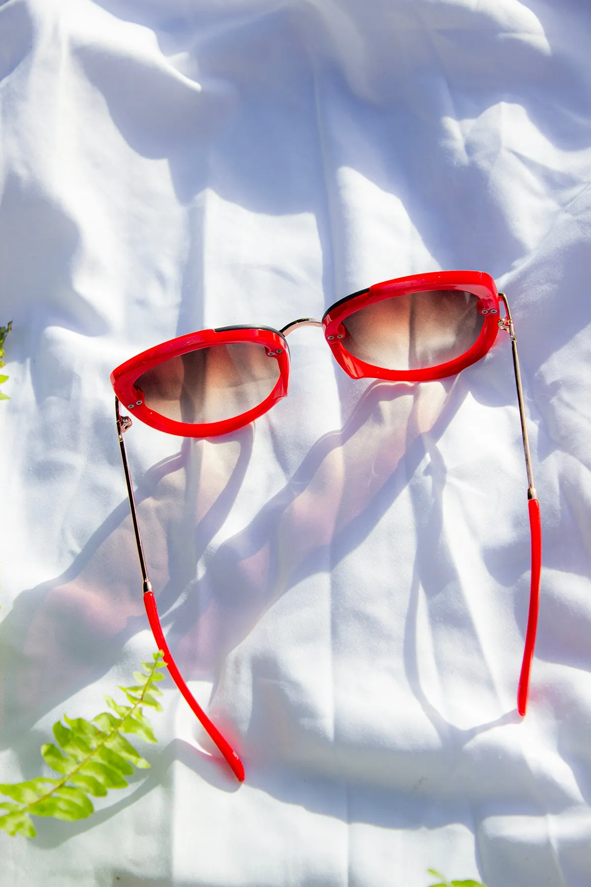 Front Lens Oversized Sunglasses