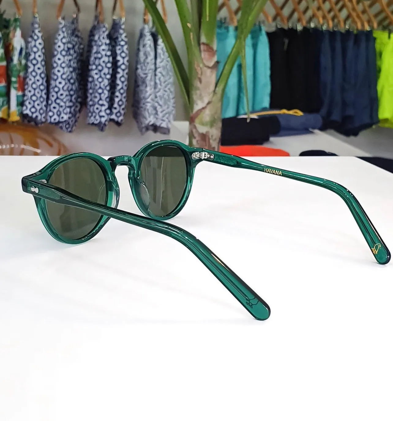Havana Green Sunglasses