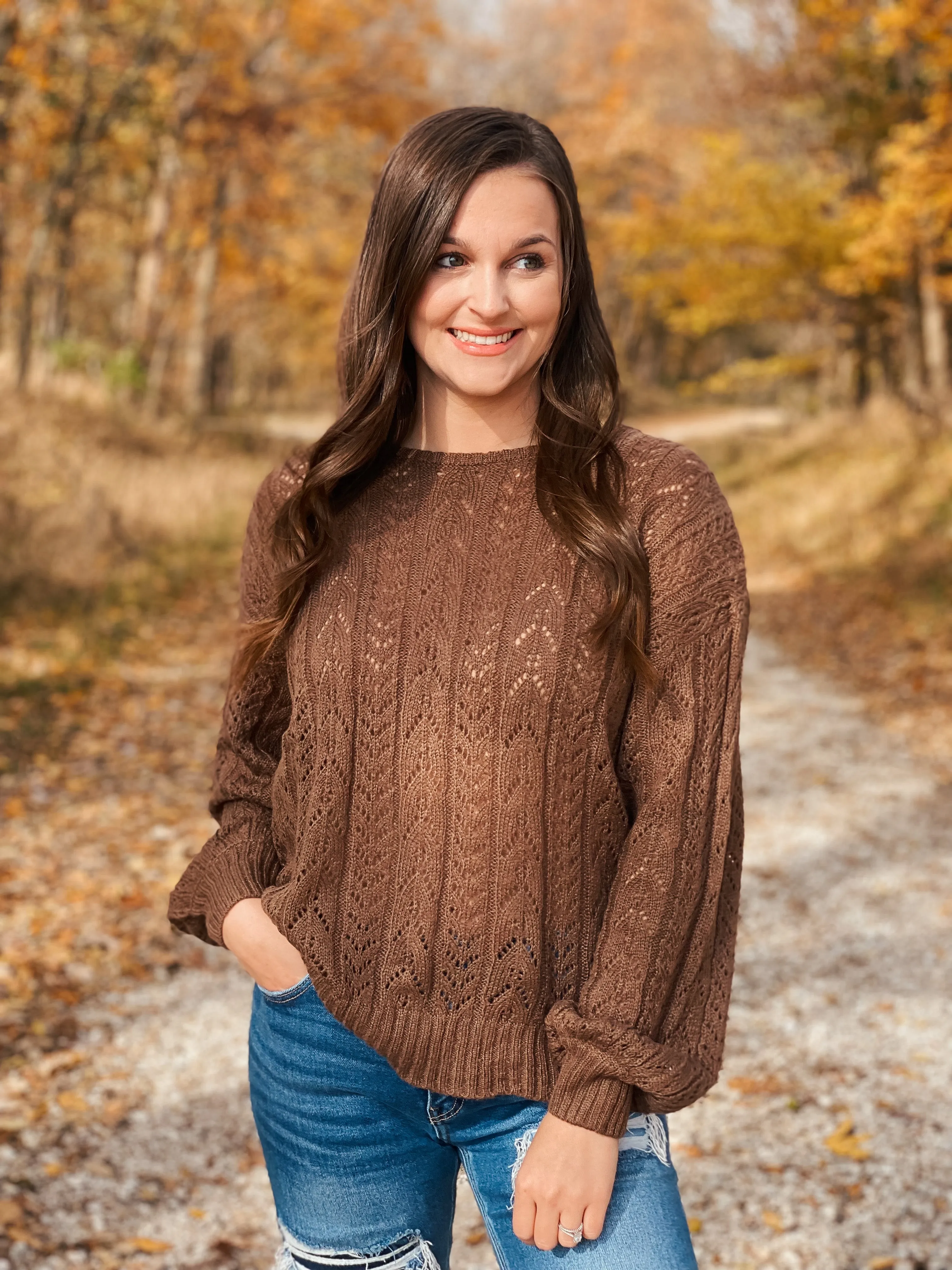 Hazel Brown Eyelet Knit Sweater