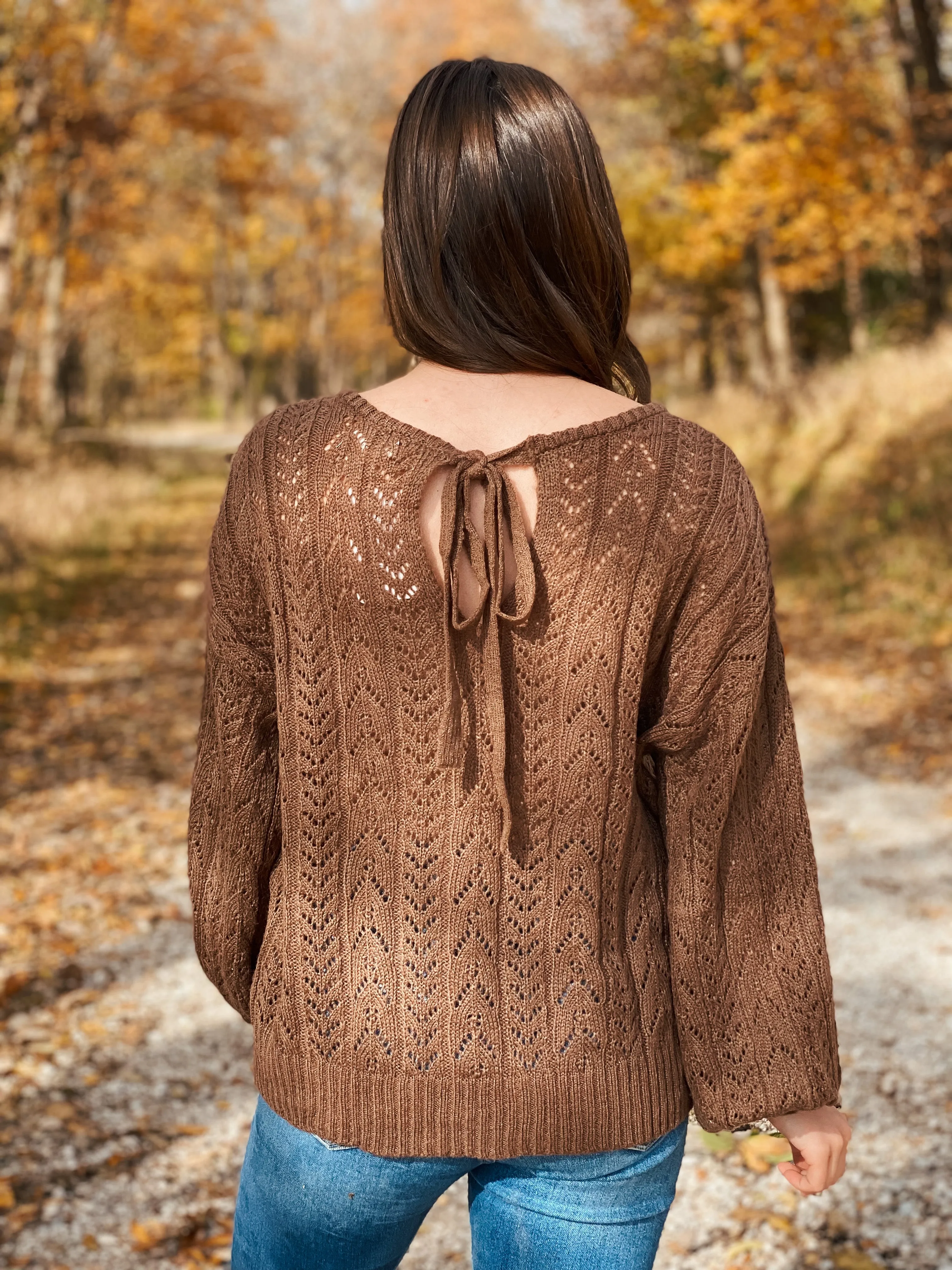 Hazel Brown Eyelet Knit Sweater