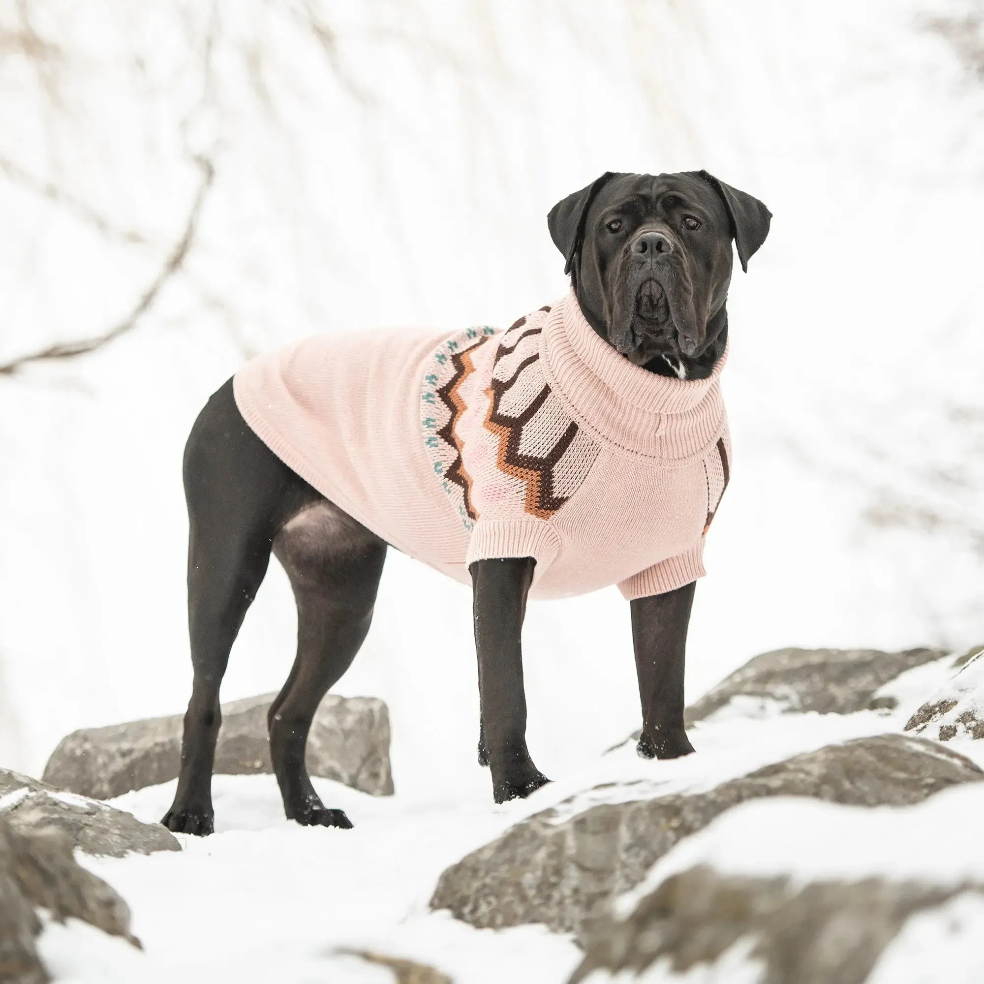 Heritage Dog Sweater | Pink