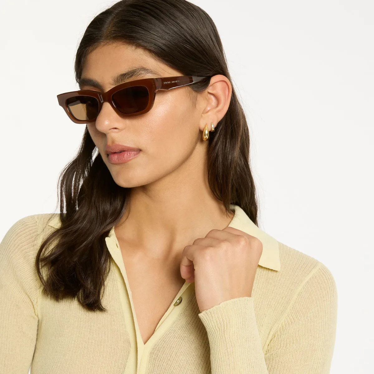 Levity Sunglasses - Brown