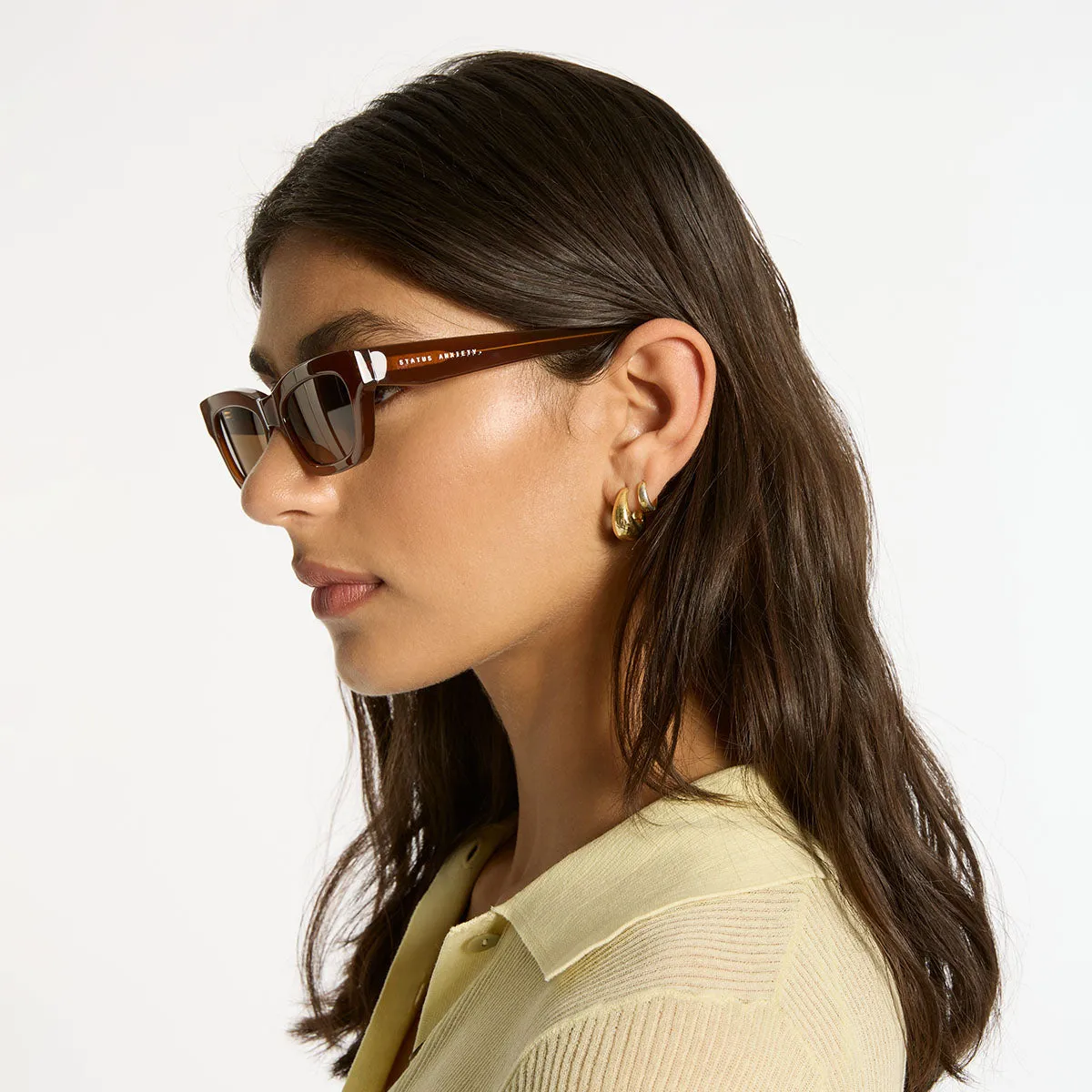Levity Sunglasses - Brown