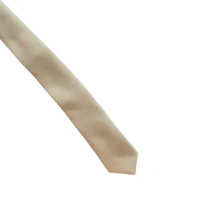Light Cream Champagne Satin Silk Skinny Tie