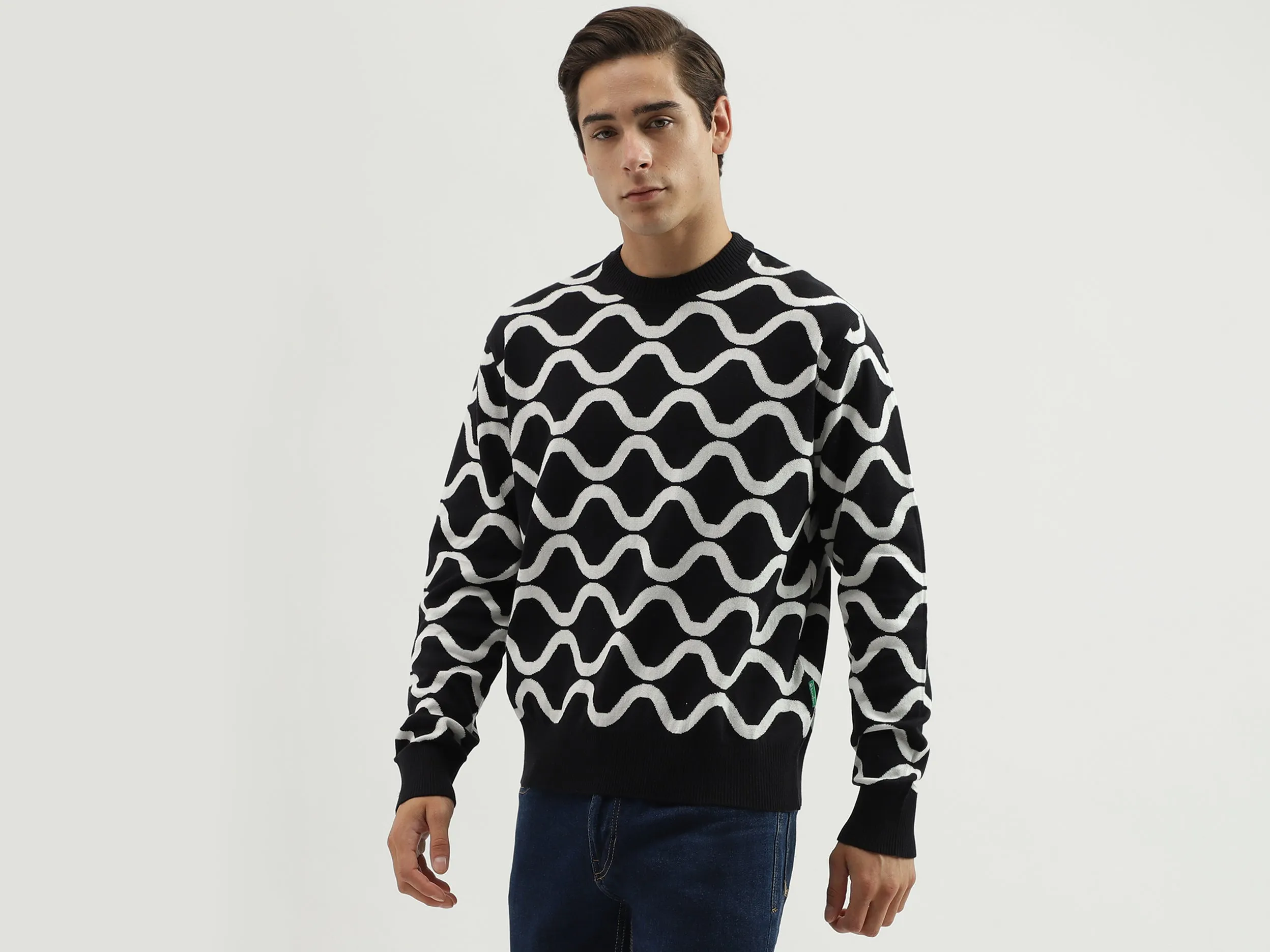 Men's Regular Fit Round Neck Printed Sweater