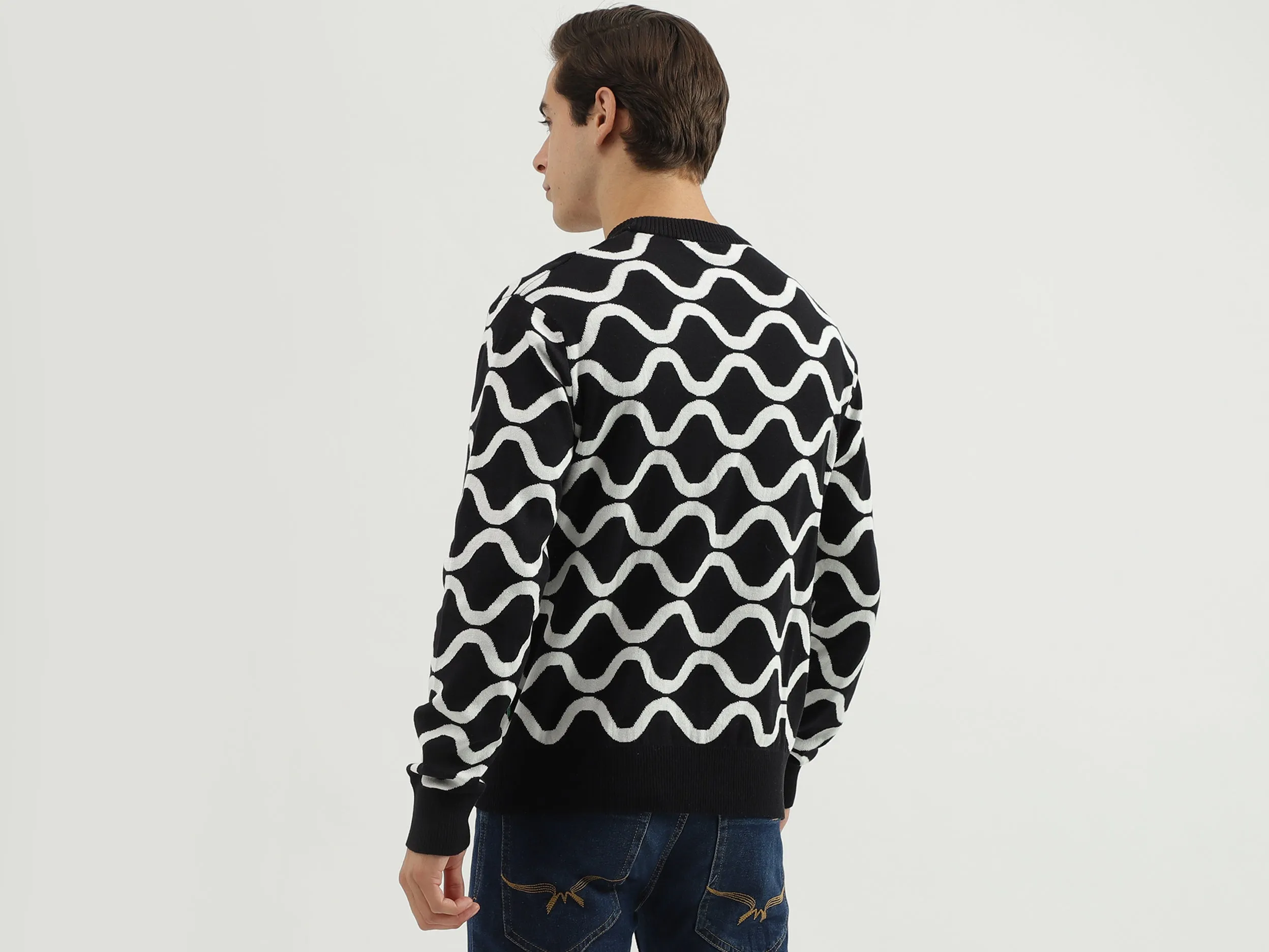 Men's Regular Fit Round Neck Printed Sweater