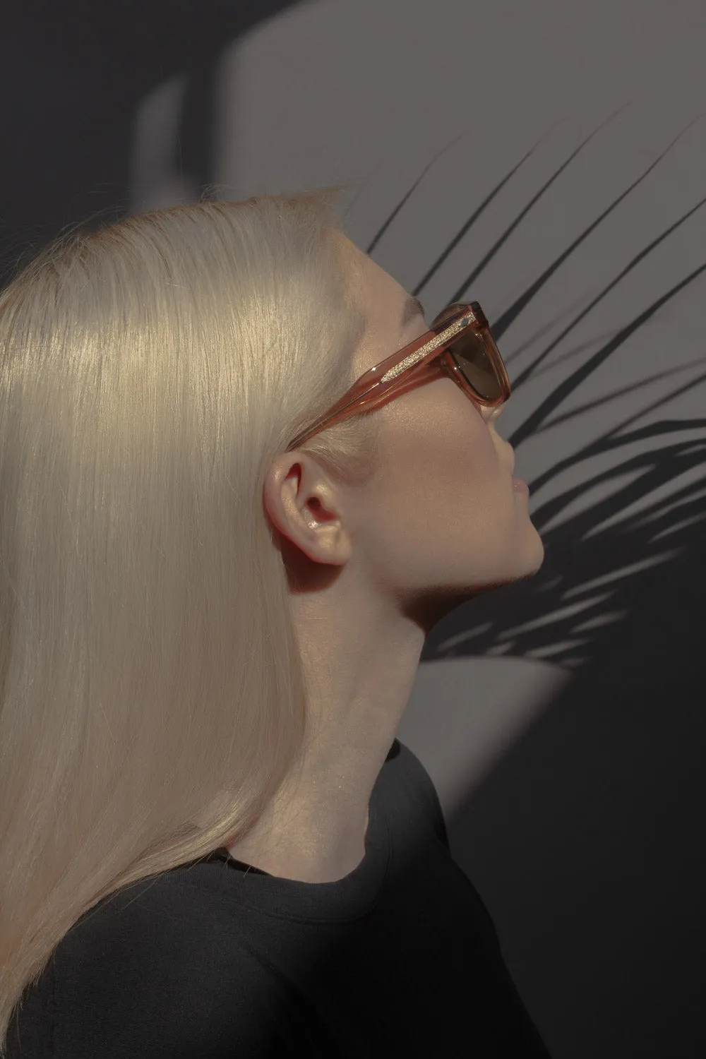 MM6: Bourbon Polarized