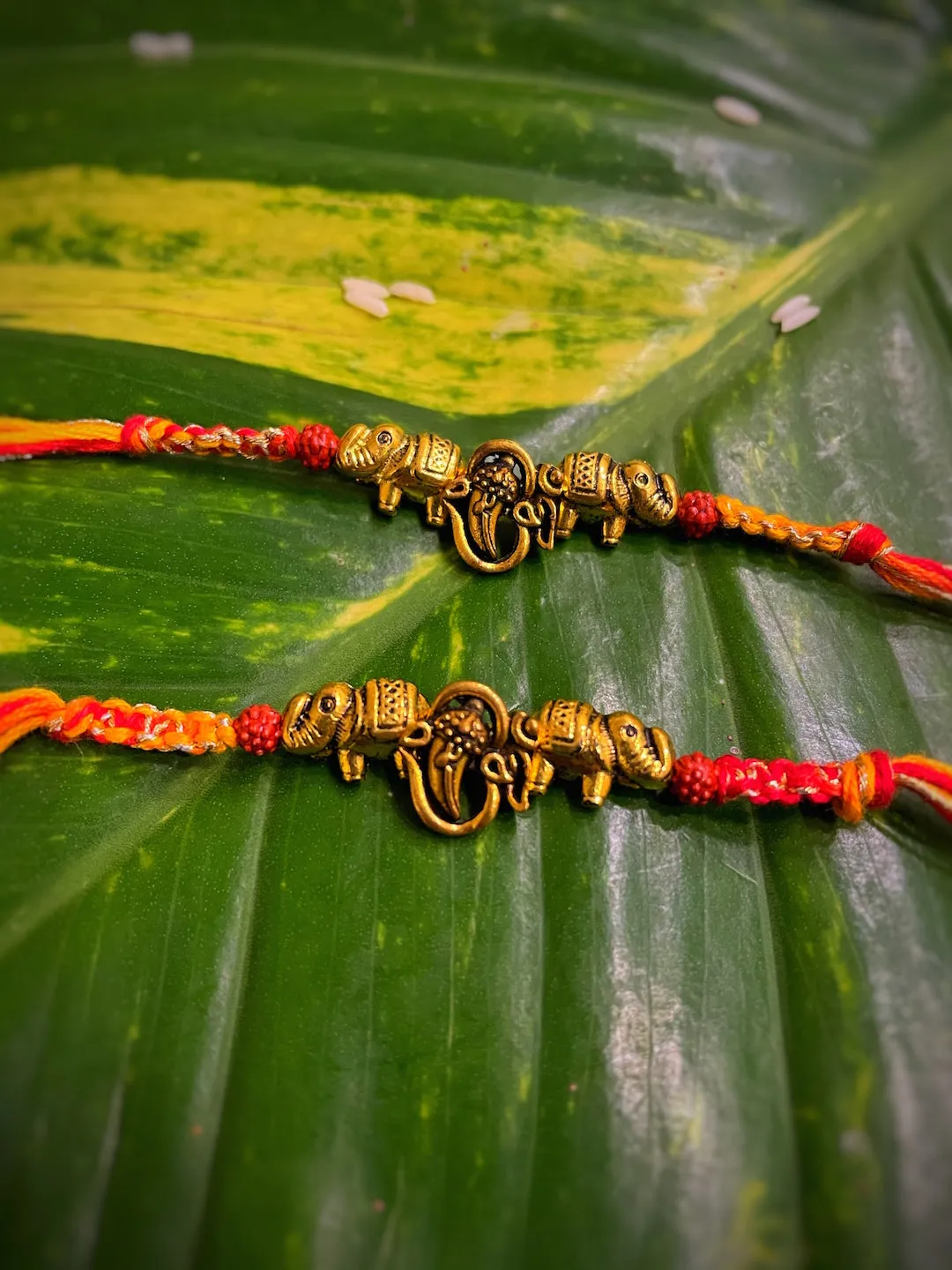(Rakhi Set of 2) Unique Designer Rakhi OM/Ganesha/Elephant Designs With multicoloured Thread Rakhi