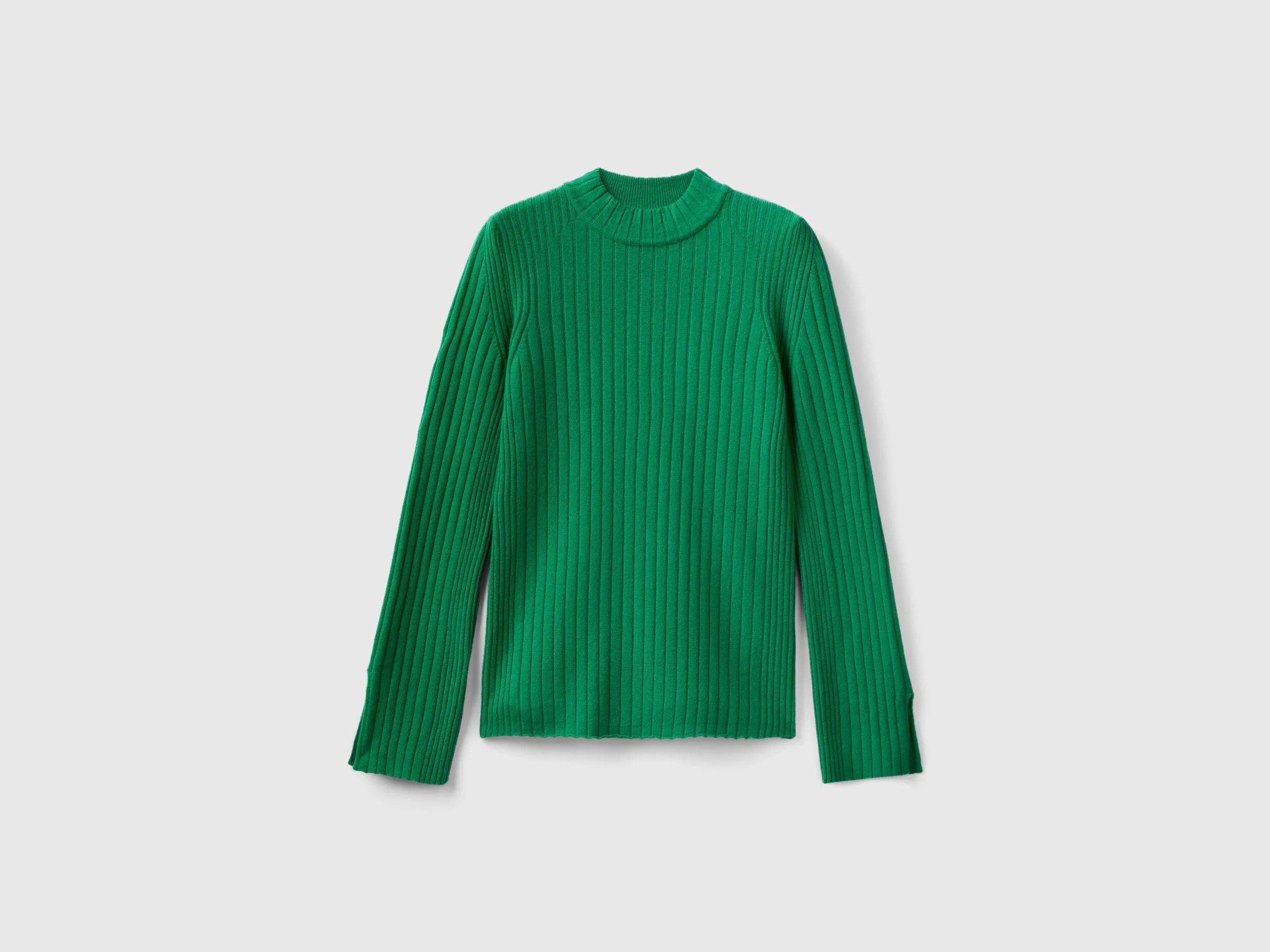 Regular Fit High Neck Solid Sweater