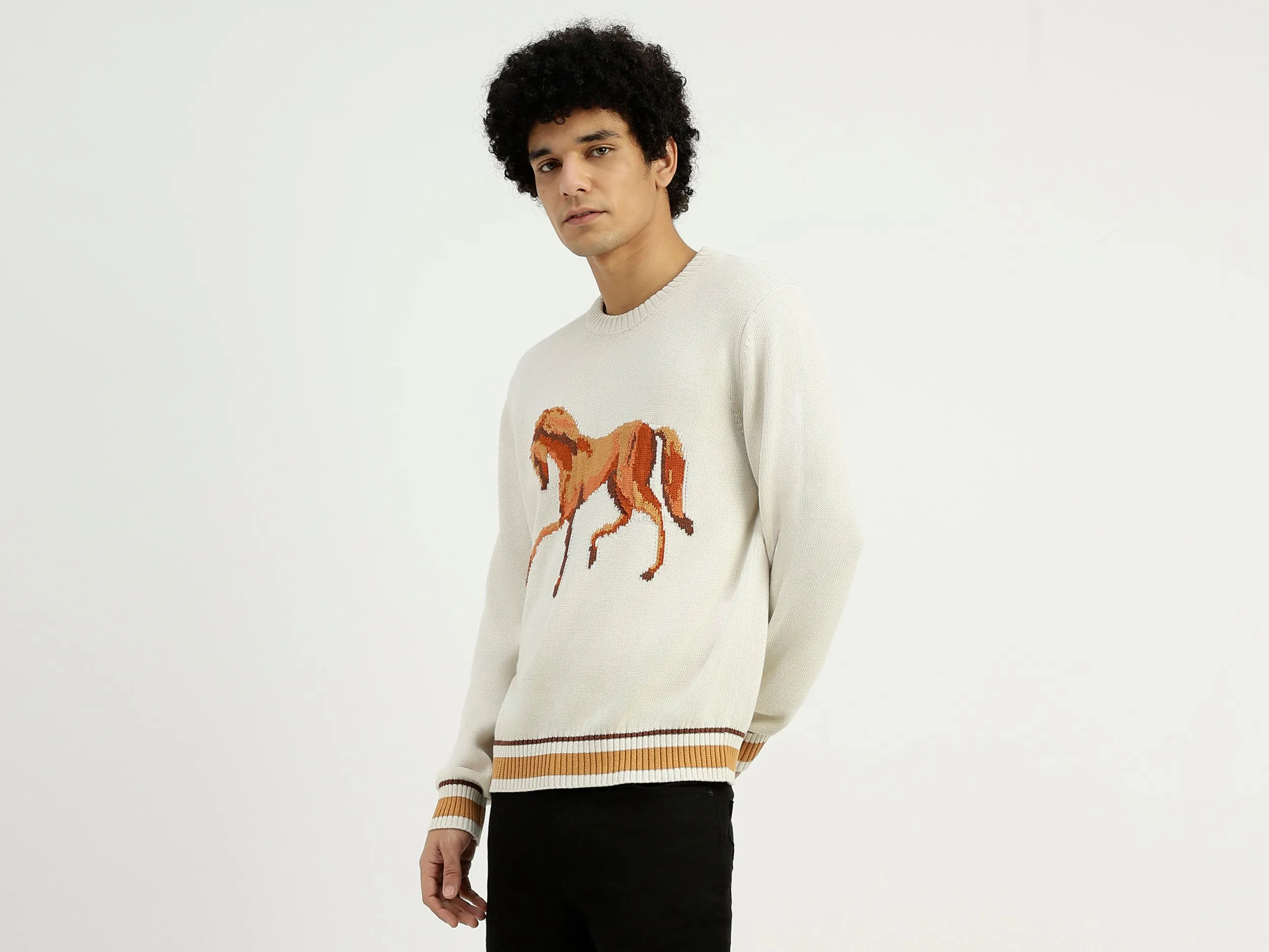 Relaxed Fit Round Neck Printed Sweater