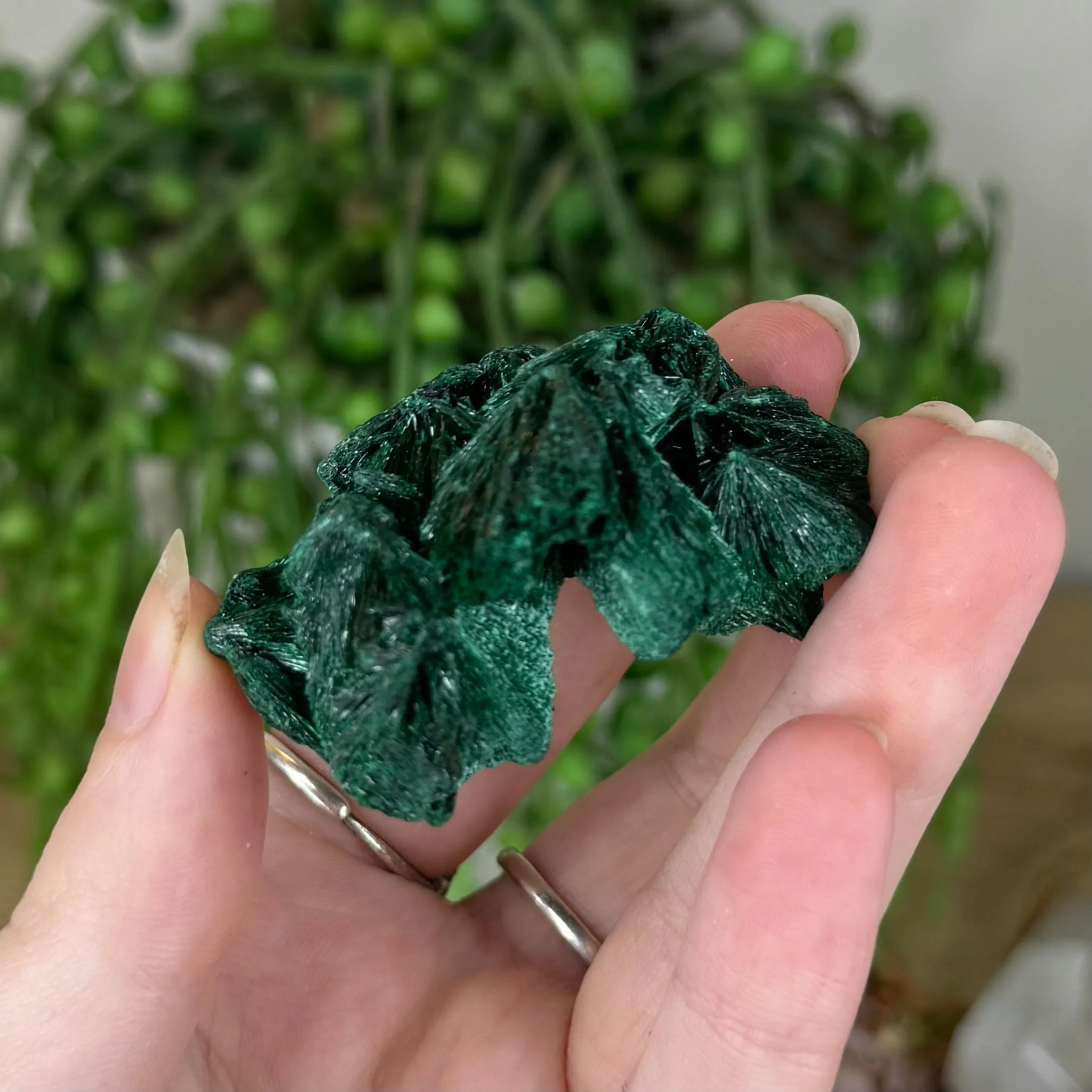 Silk Malachite (P880)