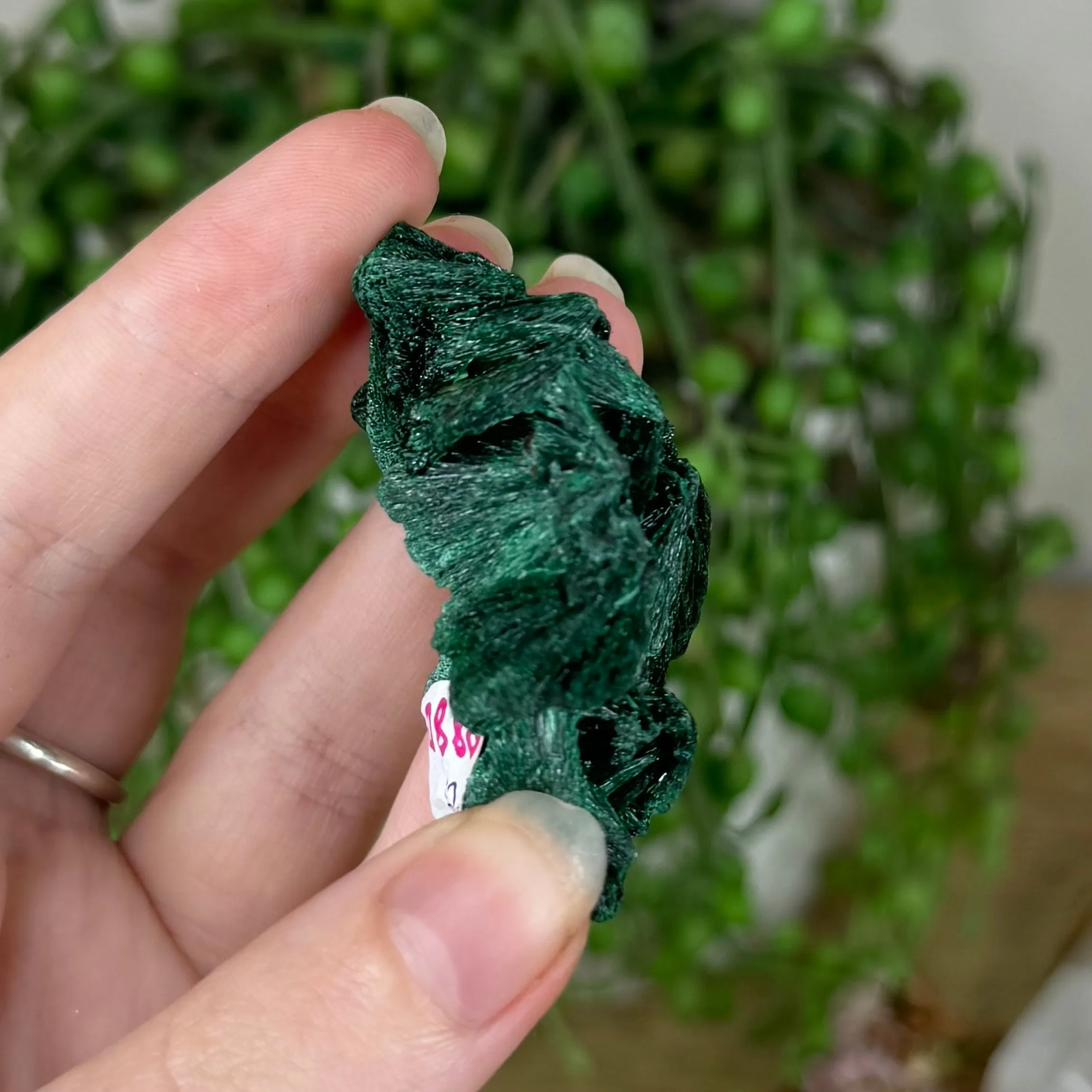 Silk Malachite (P880)