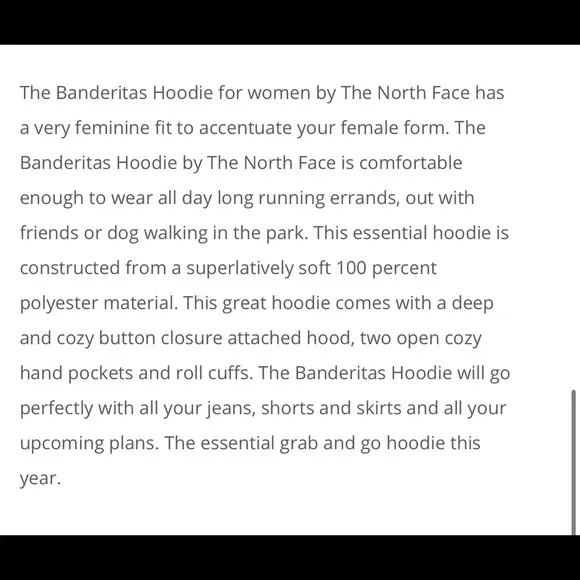 The North Face grey Banderitas Hoodie size small