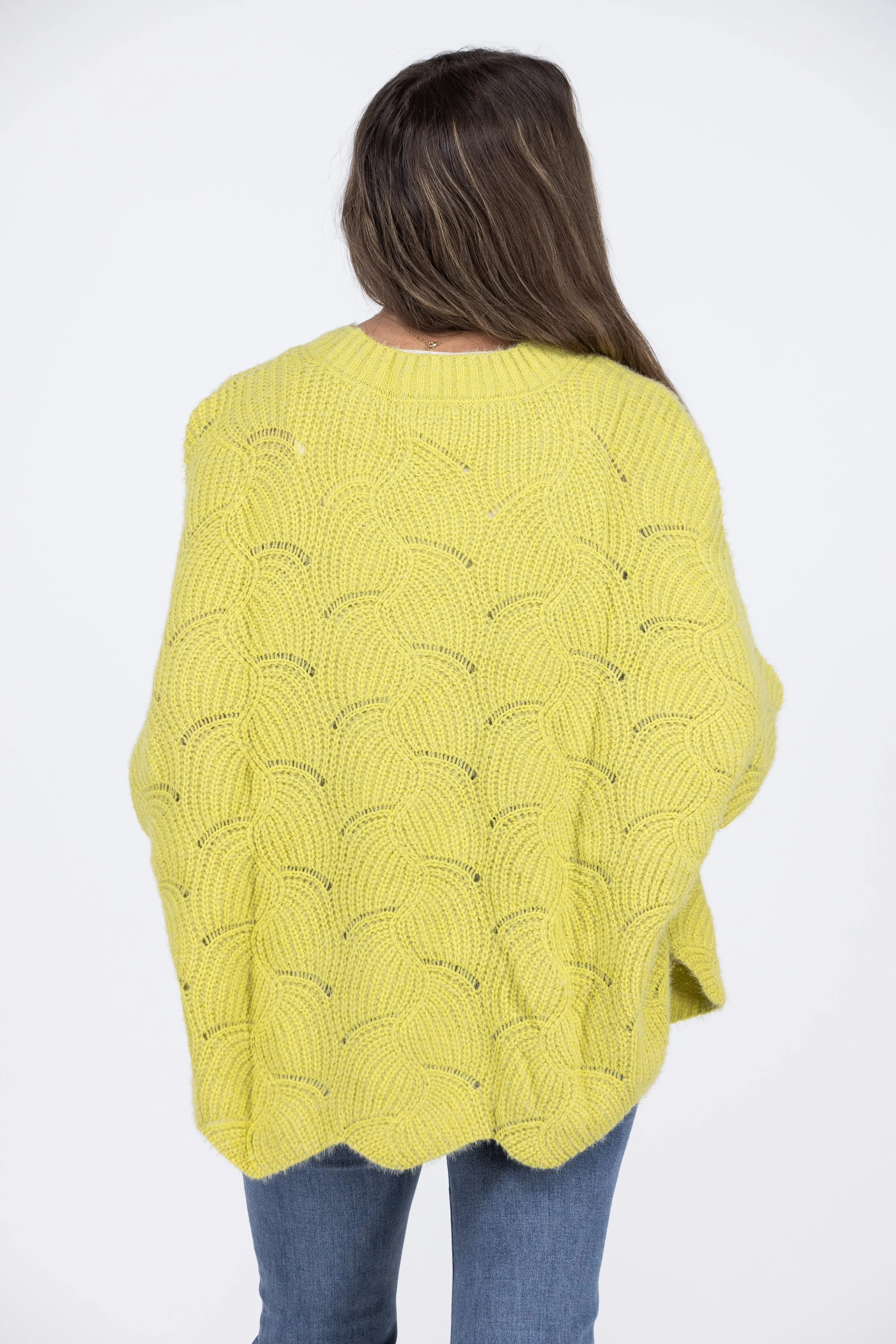 Winter Dayz Women's Round Neckline Pointelle Sweater