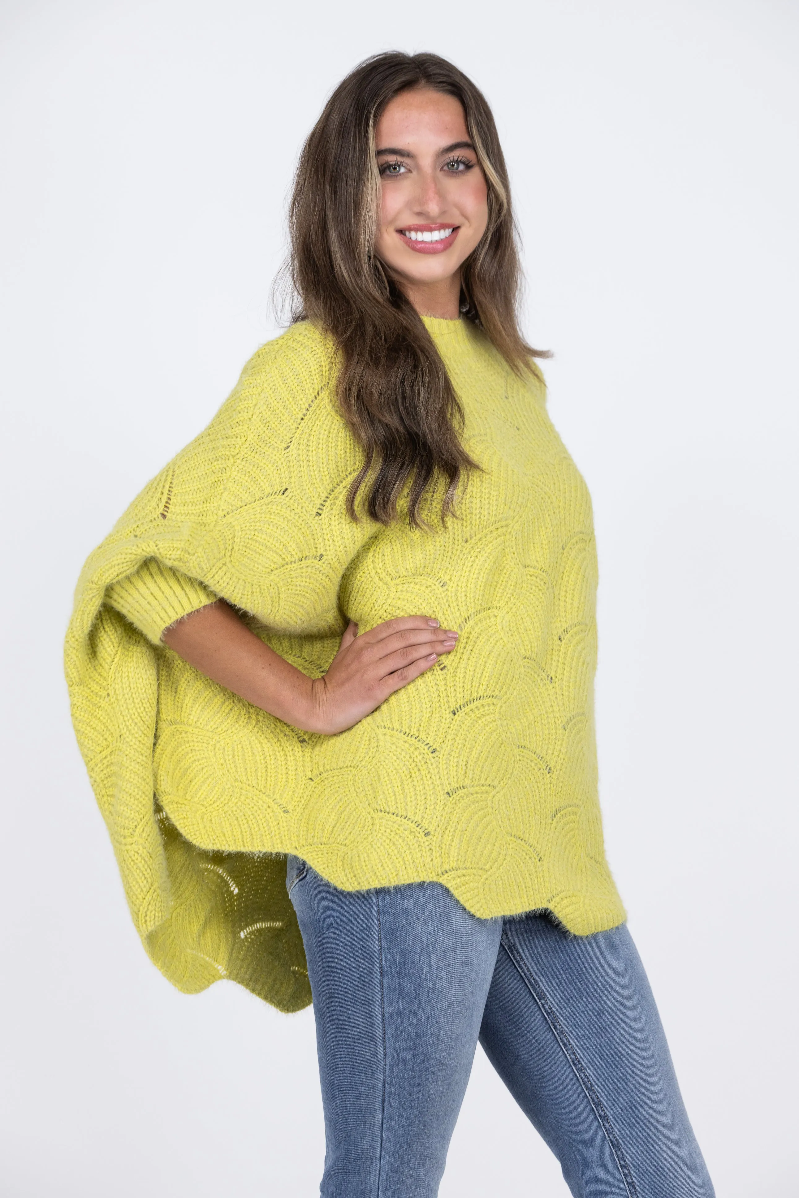 Winter Dayz Women's Round Neckline Pointelle Sweater