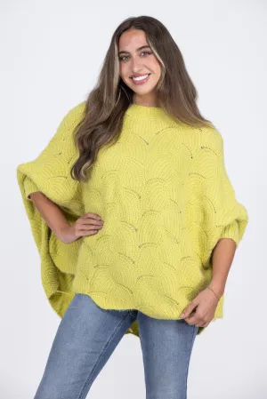 Winter Dayz Women's Round Neckline Pointelle Sweater