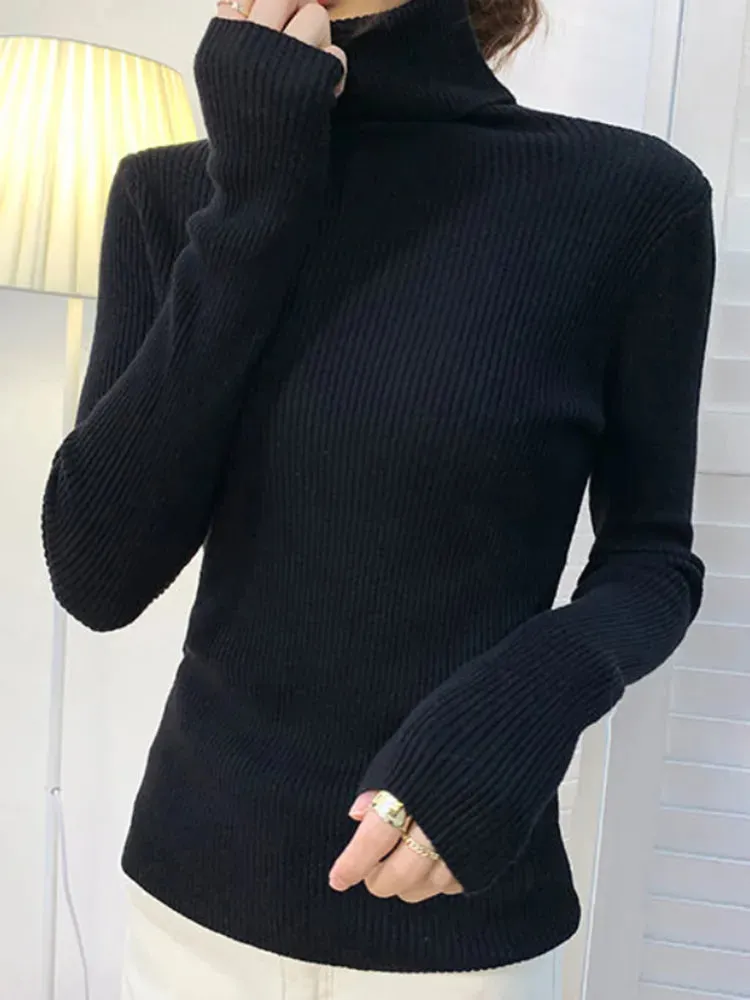 Women's fall turtleneck knit sweater