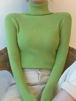 Women's fall turtleneck knit sweater