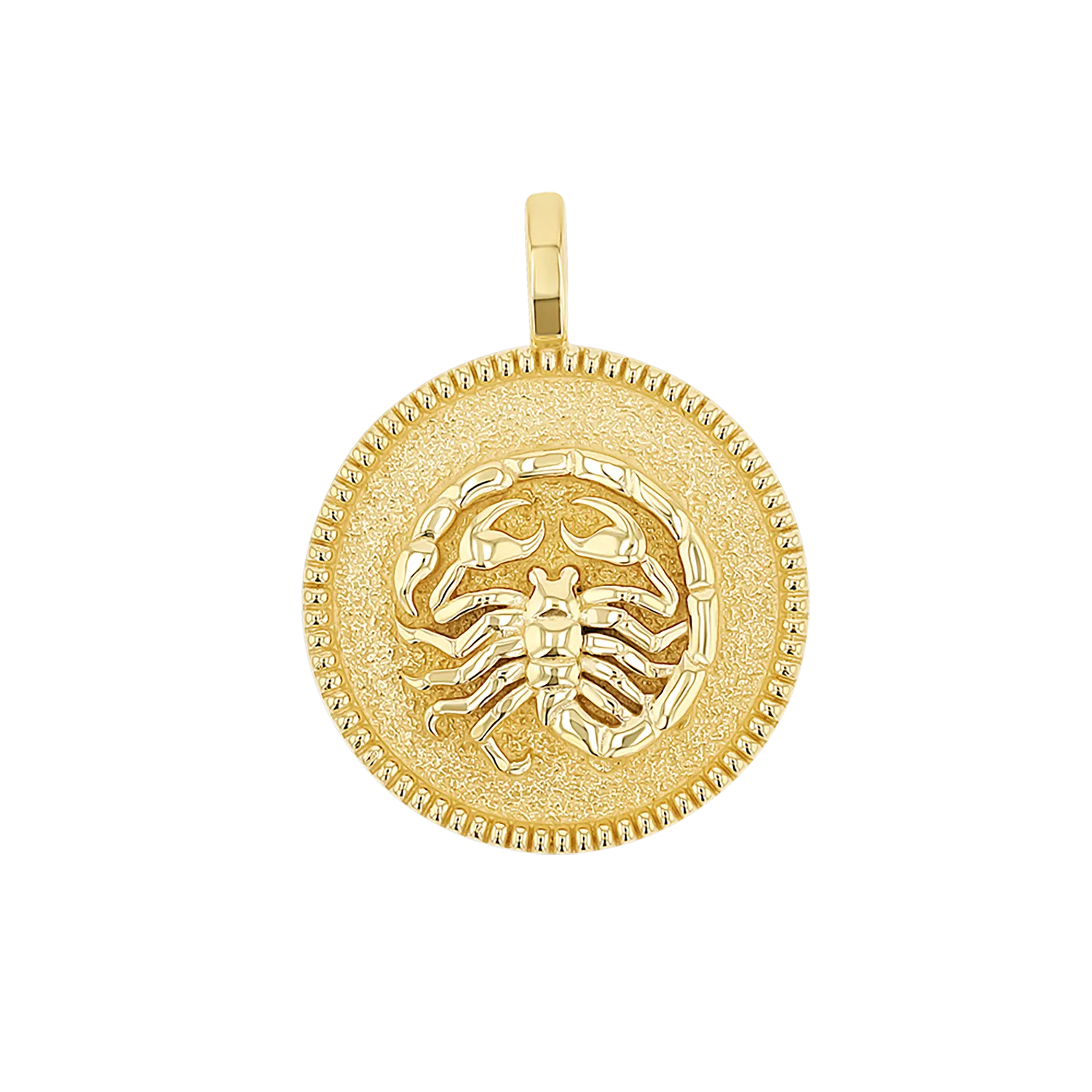 Zodiac Coin Medallion Charm