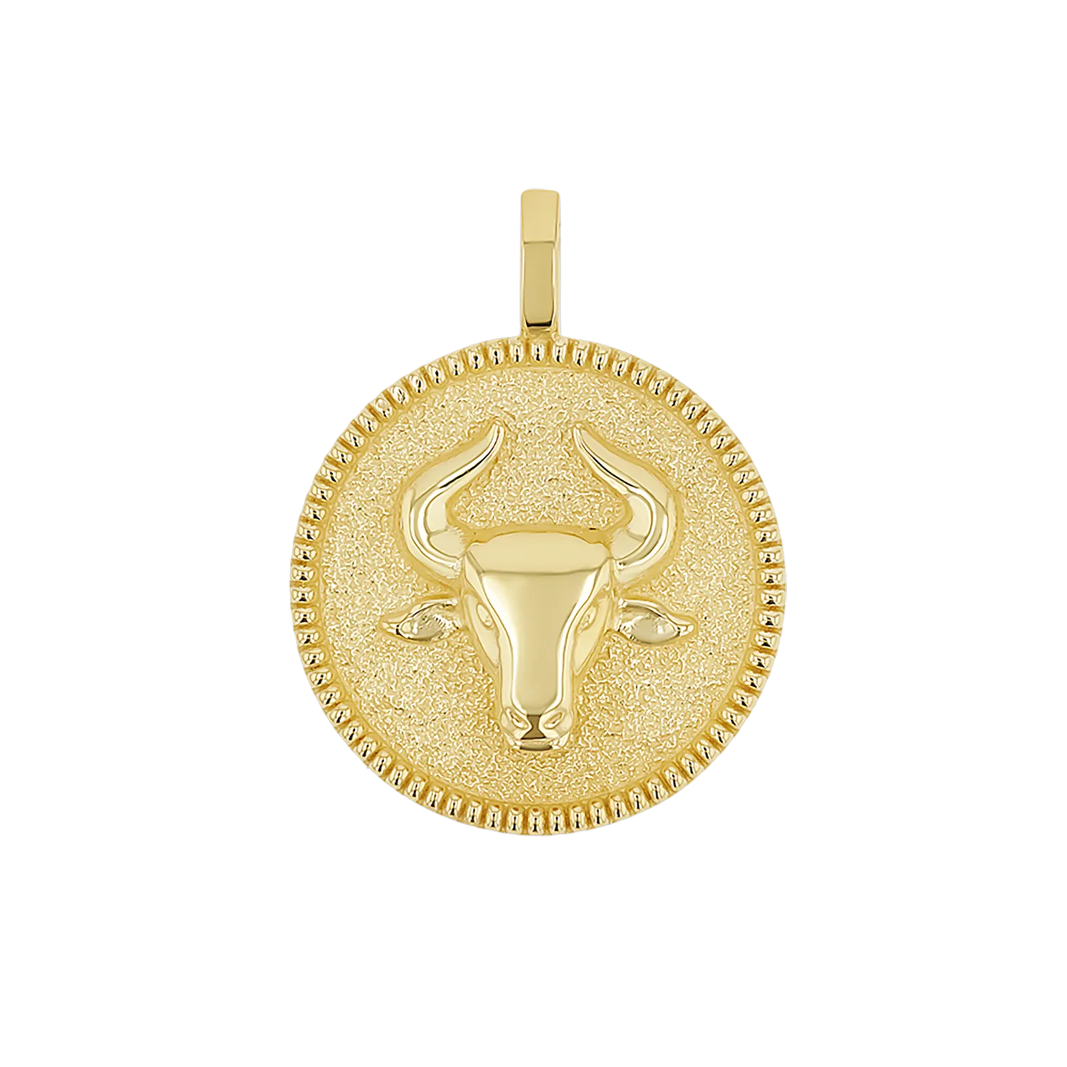 Zodiac Coin Medallion Charm