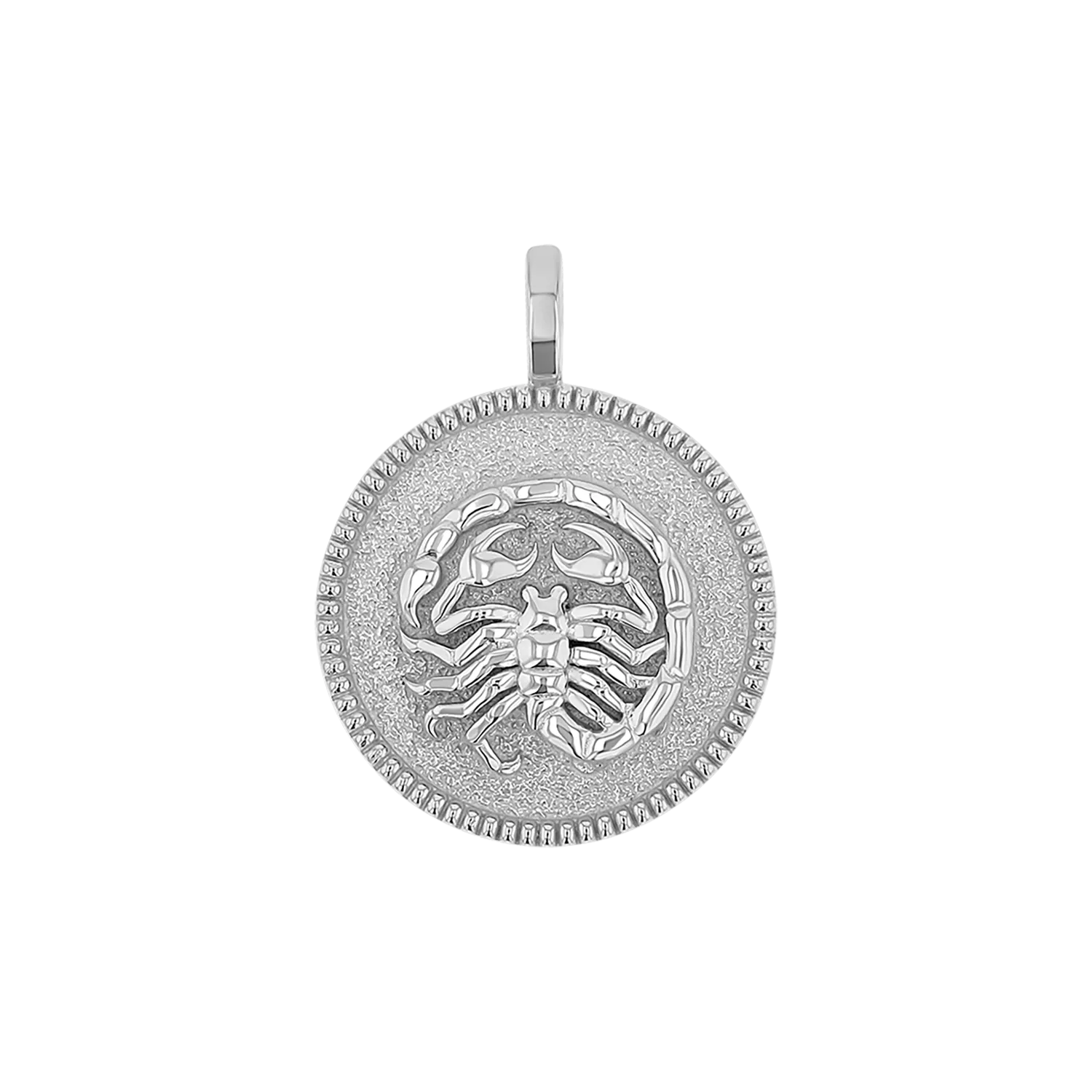 Zodiac Coin Medallion Charm