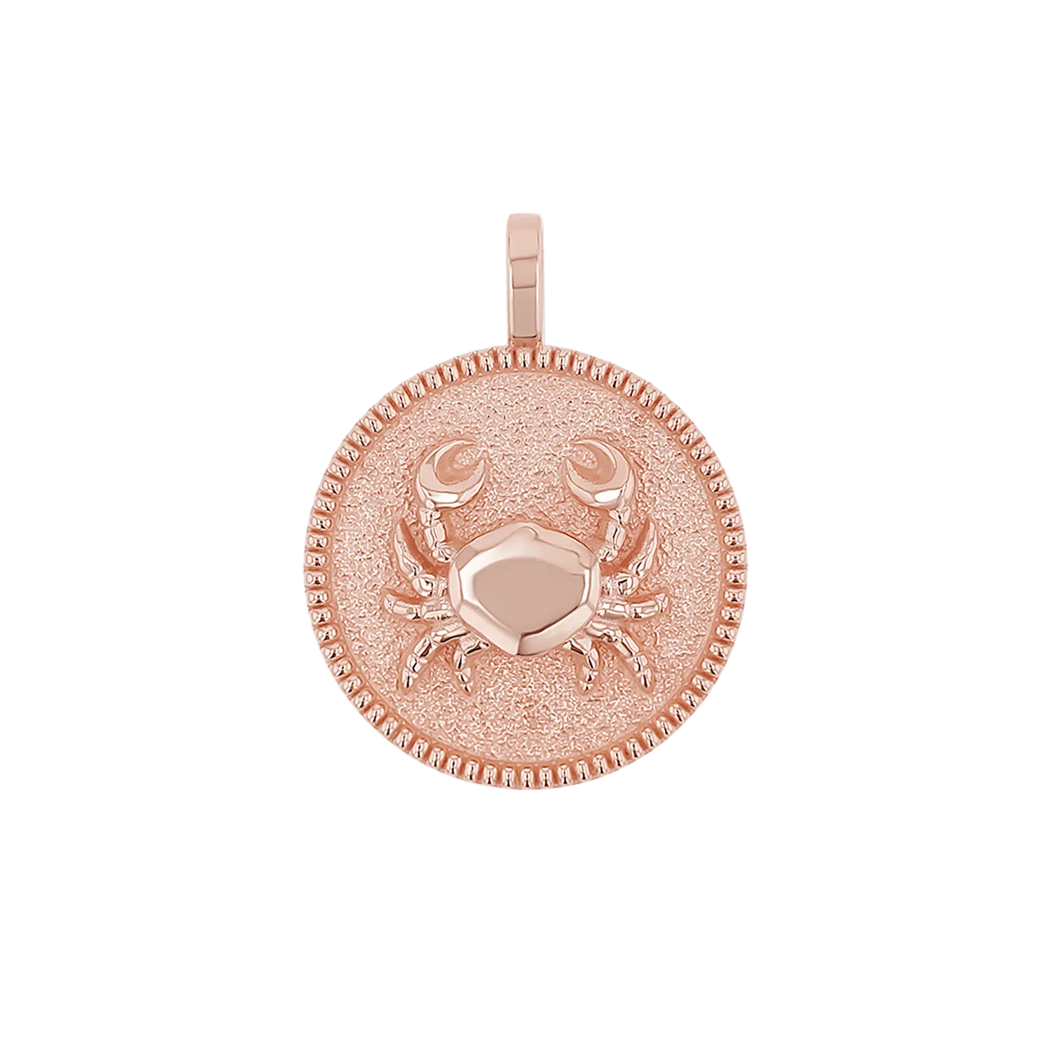 Zodiac Coin Medallion Charm