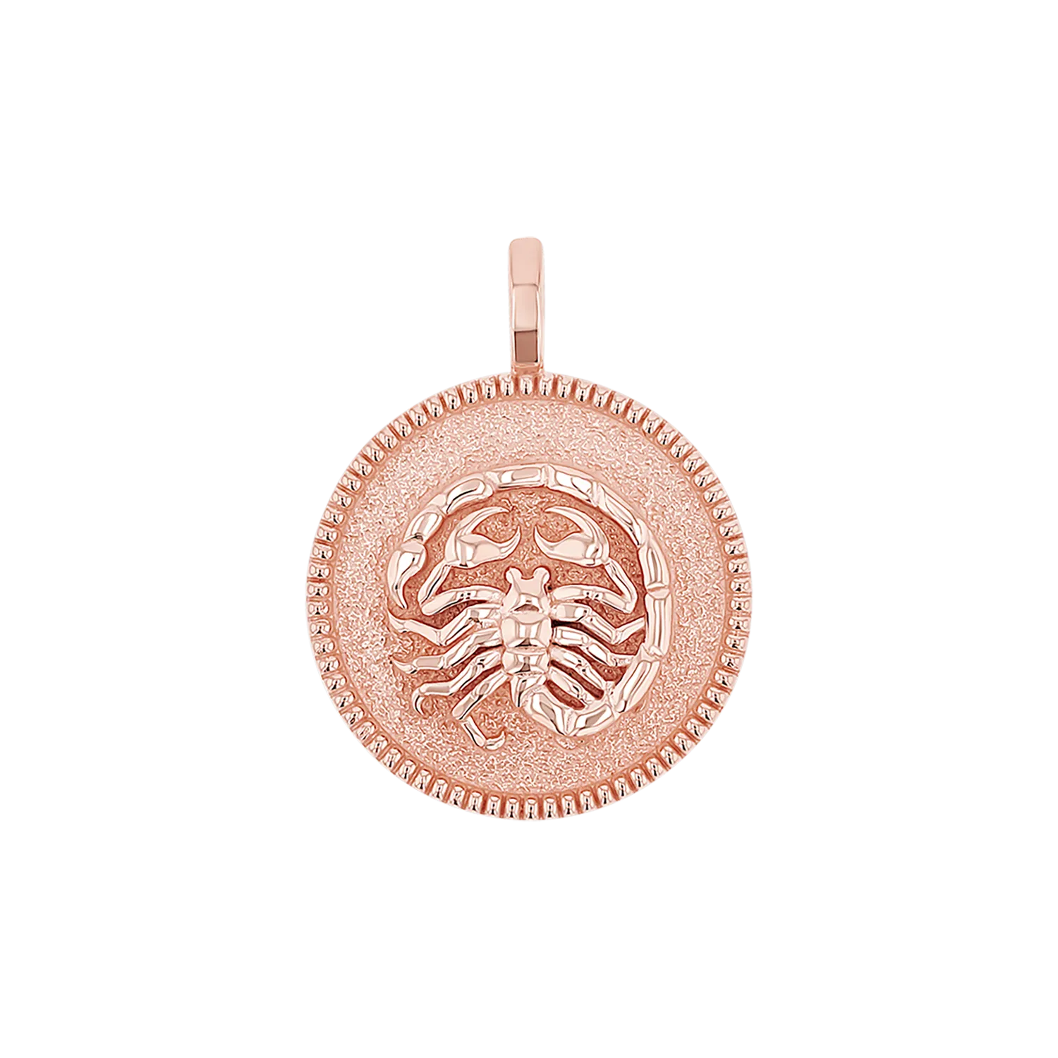 Zodiac Coin Medallion Charm