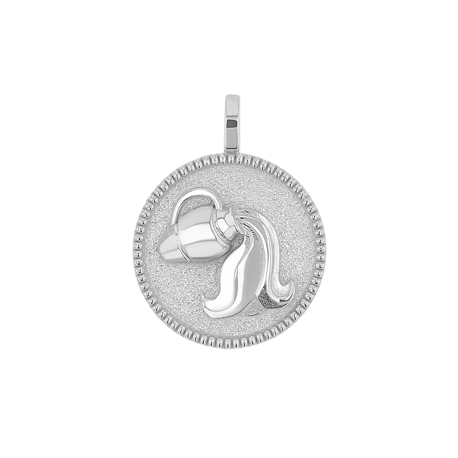 Zodiac Coin Medallion Charm