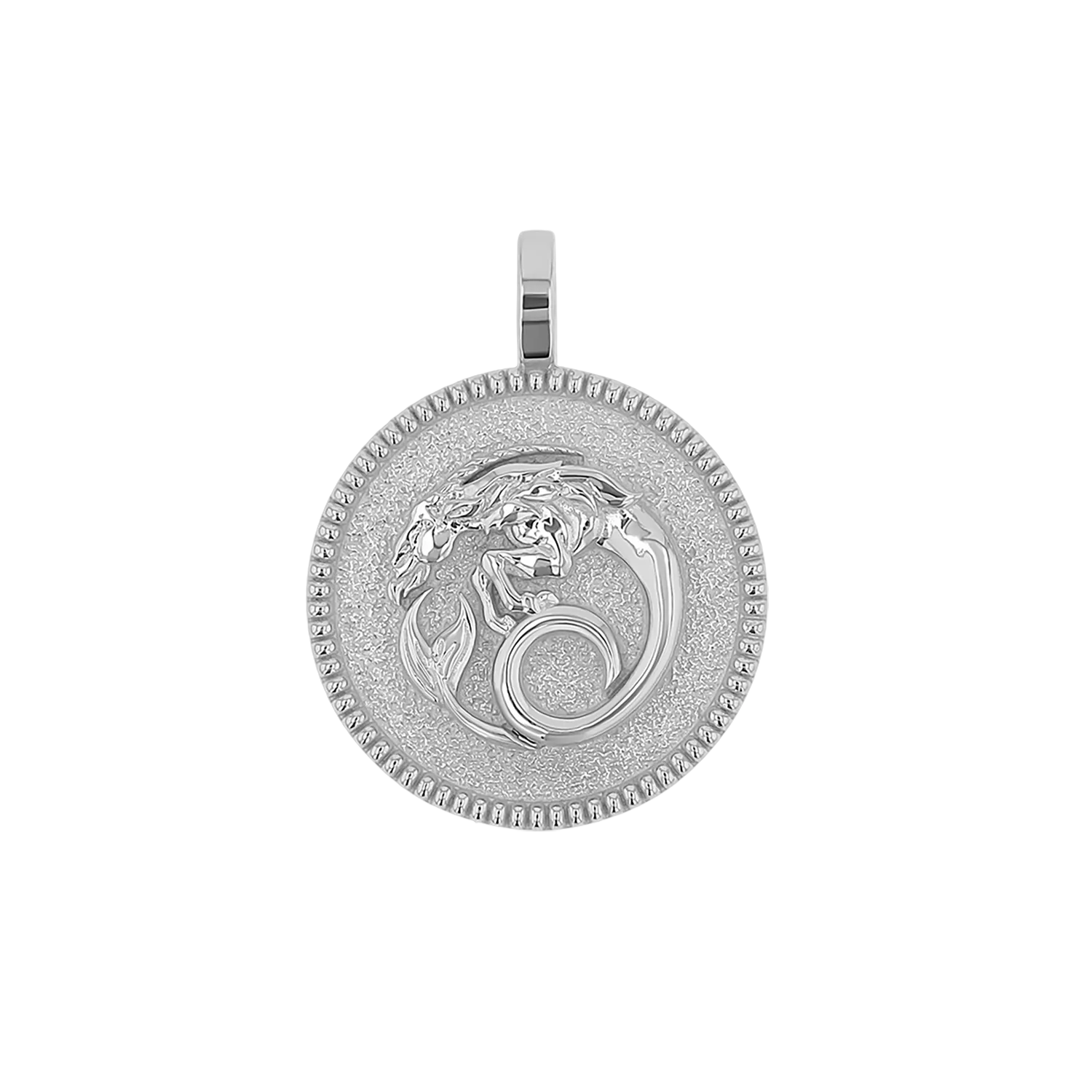 Zodiac Coin Medallion Charm