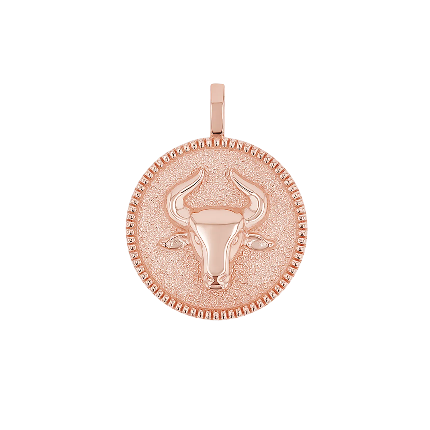 Zodiac Coin Medallion Charm