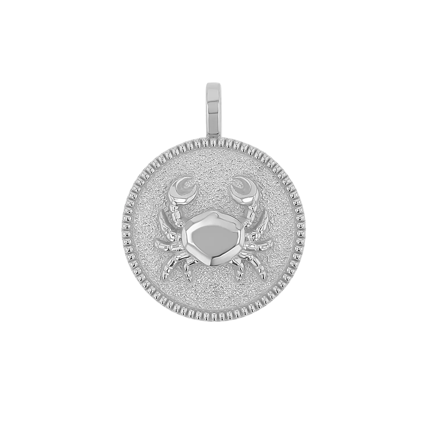 Zodiac Coin Medallion Charm
