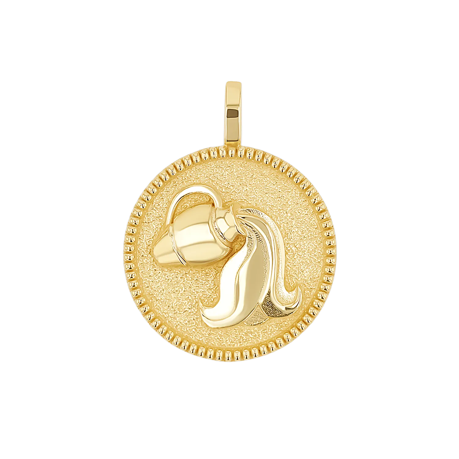 Zodiac Coin Medallion Charm